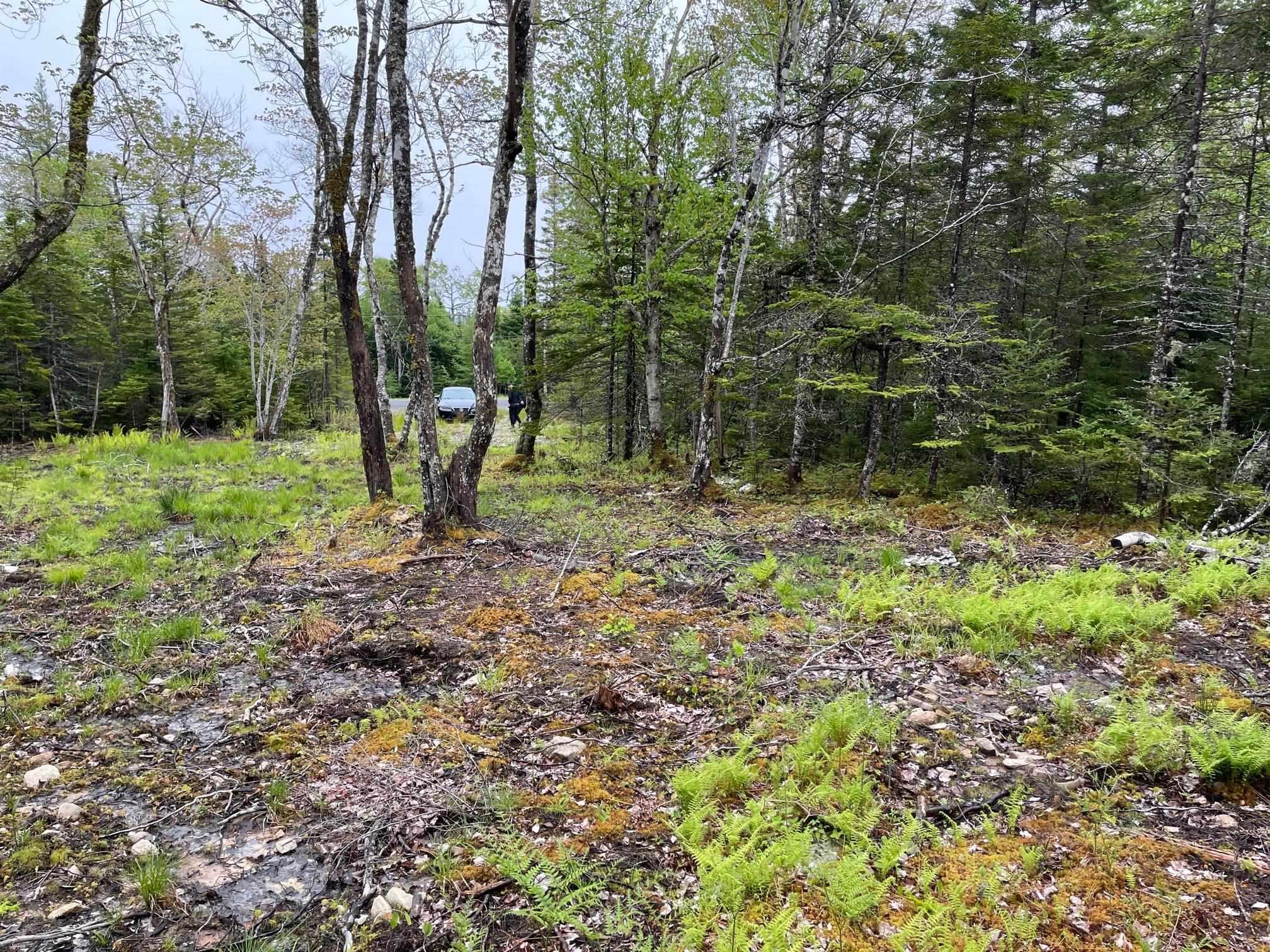 Lot 1A-81 Maple Drive, Cape George Estates NS B0E 3B0, ,Land,For Sale,Maple,202302812