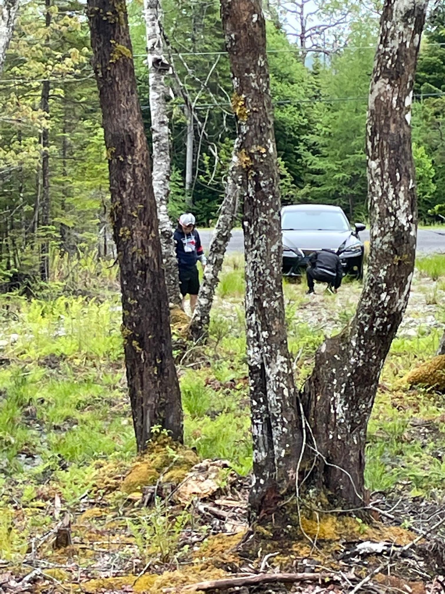 Lot 1A-81 Maple Drive, Cape George Estates NS B0E 3B0, ,Land,For Sale,Maple,202302812