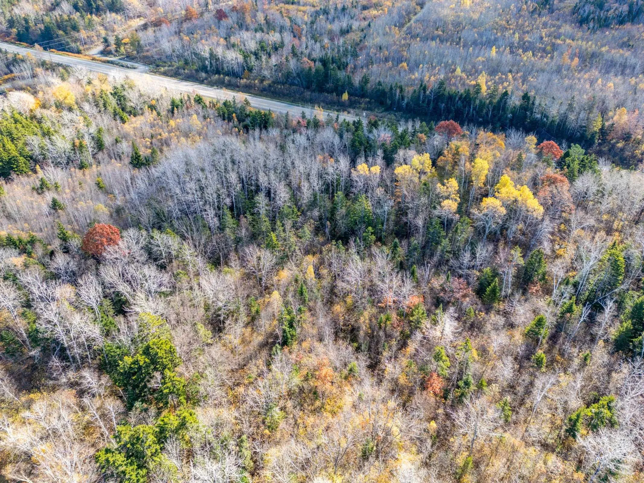 # 101 Highway, Smiths Cove Ns B0s 1s0, ,Land,For Sale,# 101,202503777