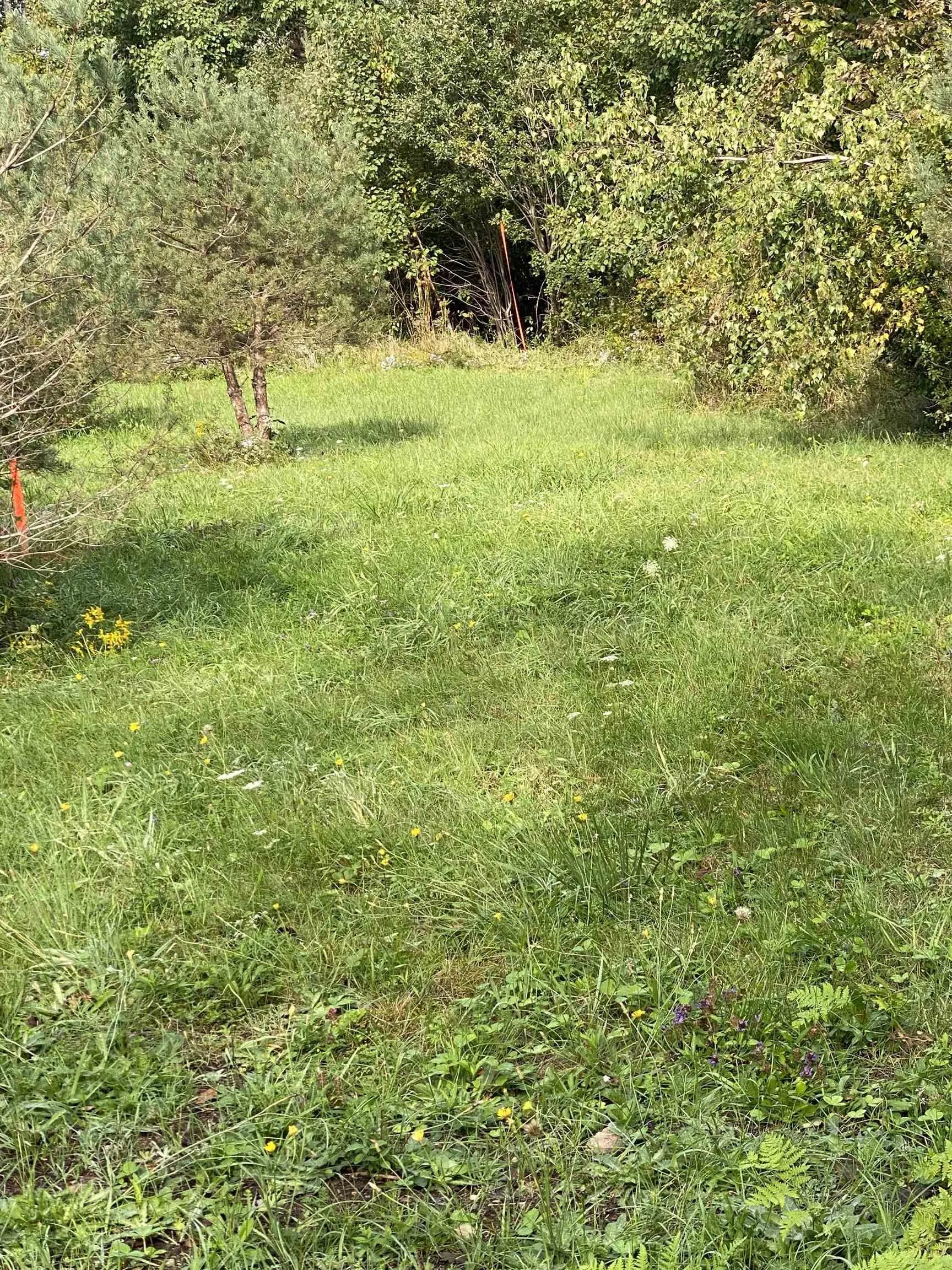 # 101 Highway, Smiths Cove Ns B0s 1s0, ,Land,For Sale,# 101,202503777