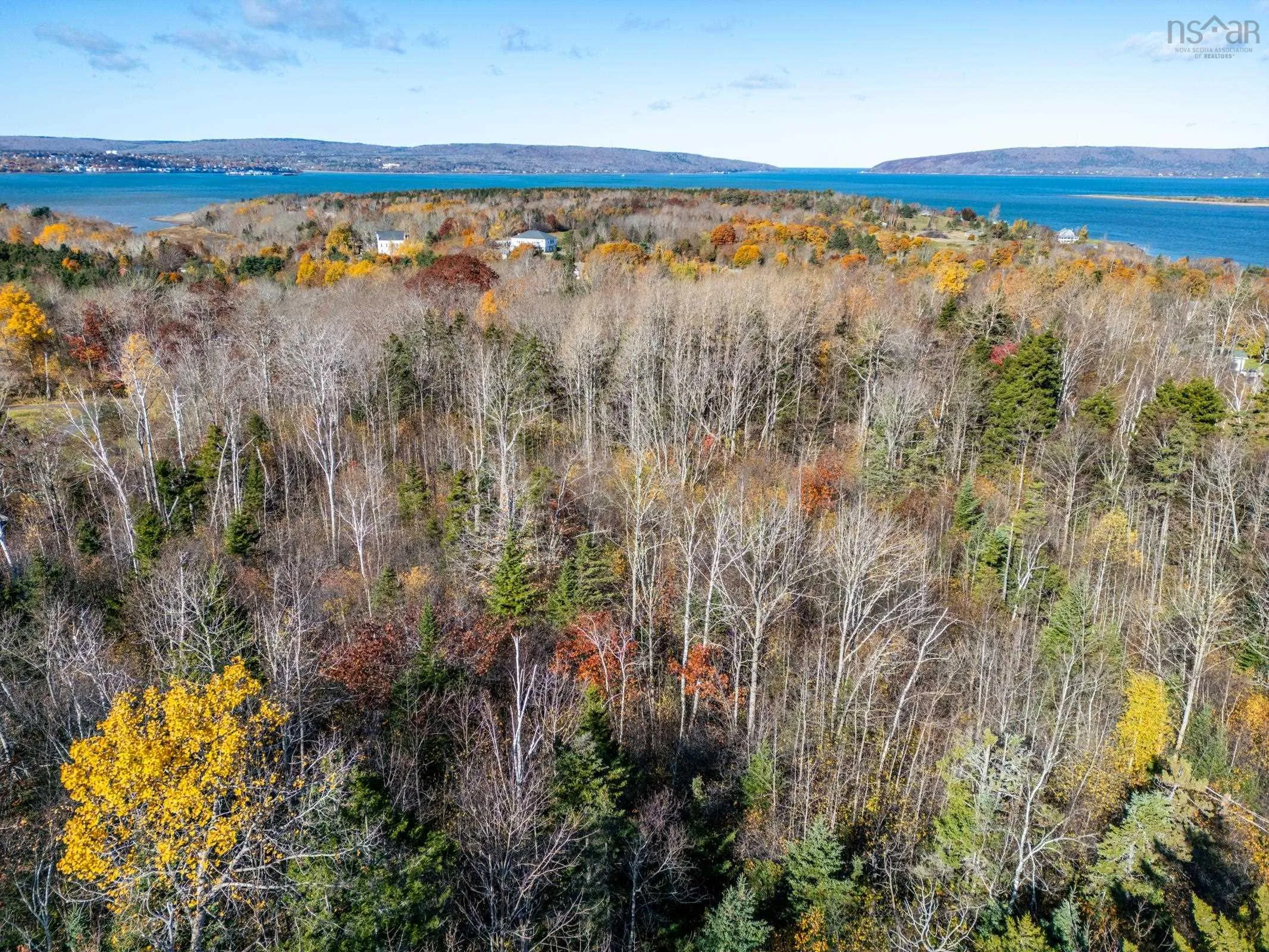 # 101 Highway, Smiths Cove Ns B0s 1s0, ,Land,For Sale,# 101,202503777