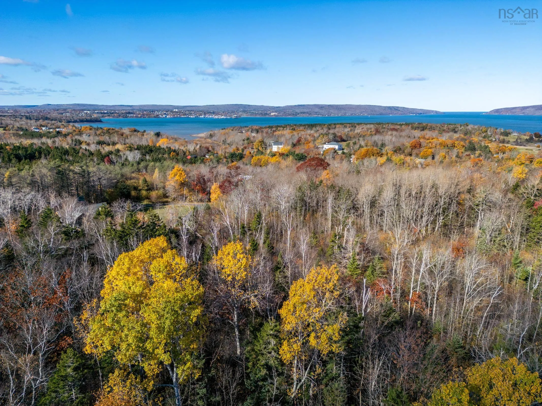 # 101 Highway, Smiths Cove Ns B0s 1s0, ,Land,For Sale,# 101,202503777