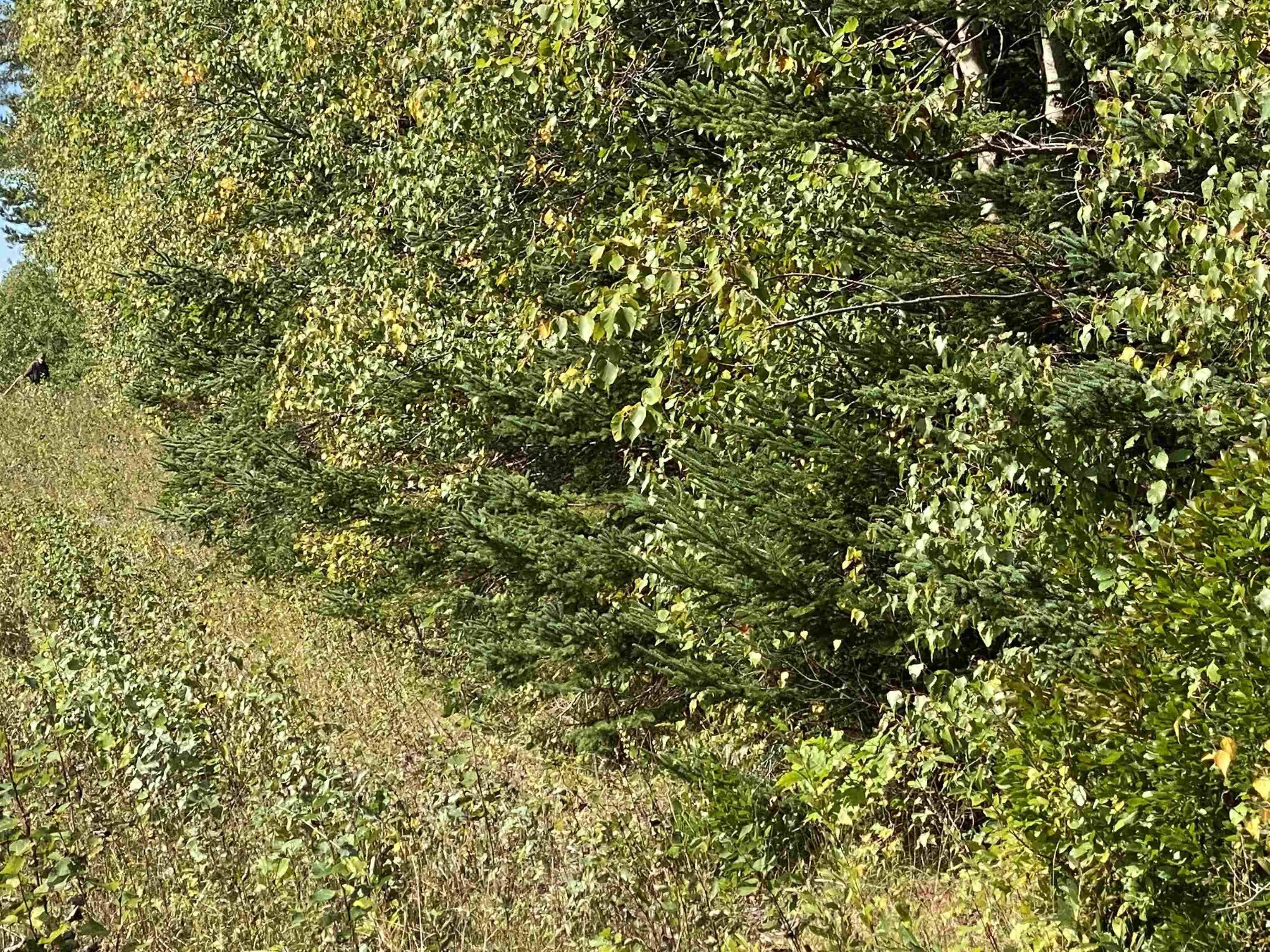 # 101 Highway, Smiths Cove Ns B0s 1s0, ,Land,For Sale,# 101,202503777