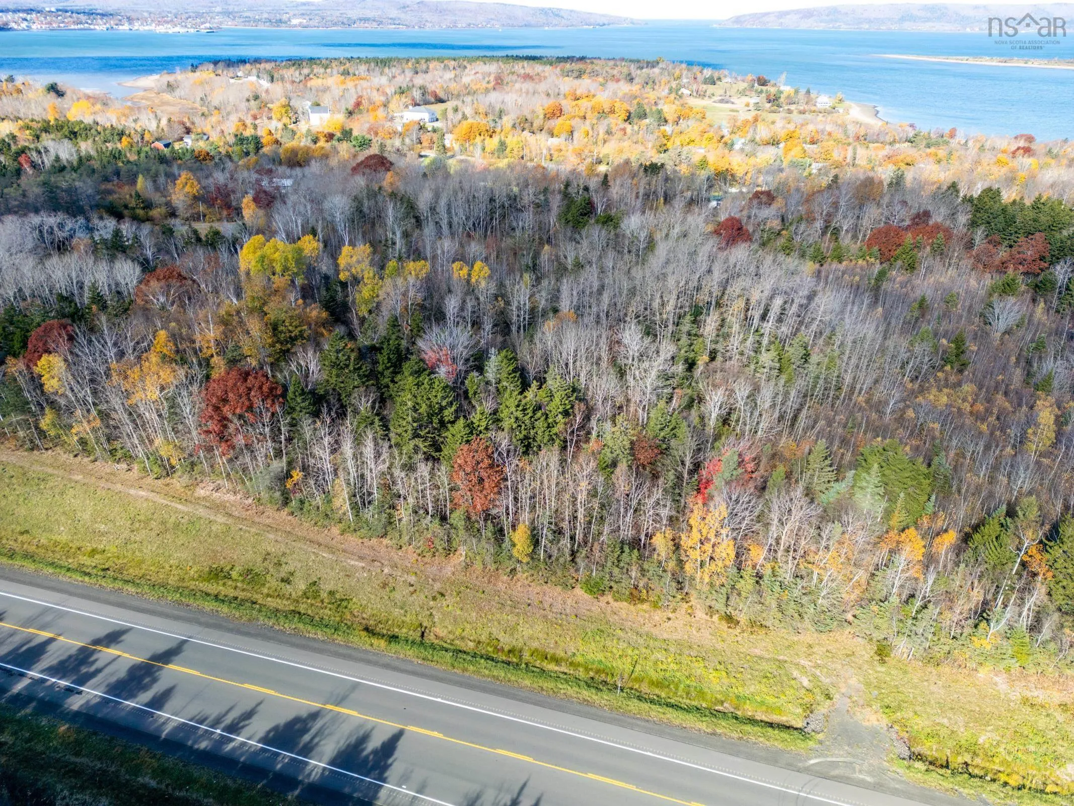 # 101 Highway, Smiths Cove Ns B0s 1s0, ,Land,For Sale,# 101,202503777