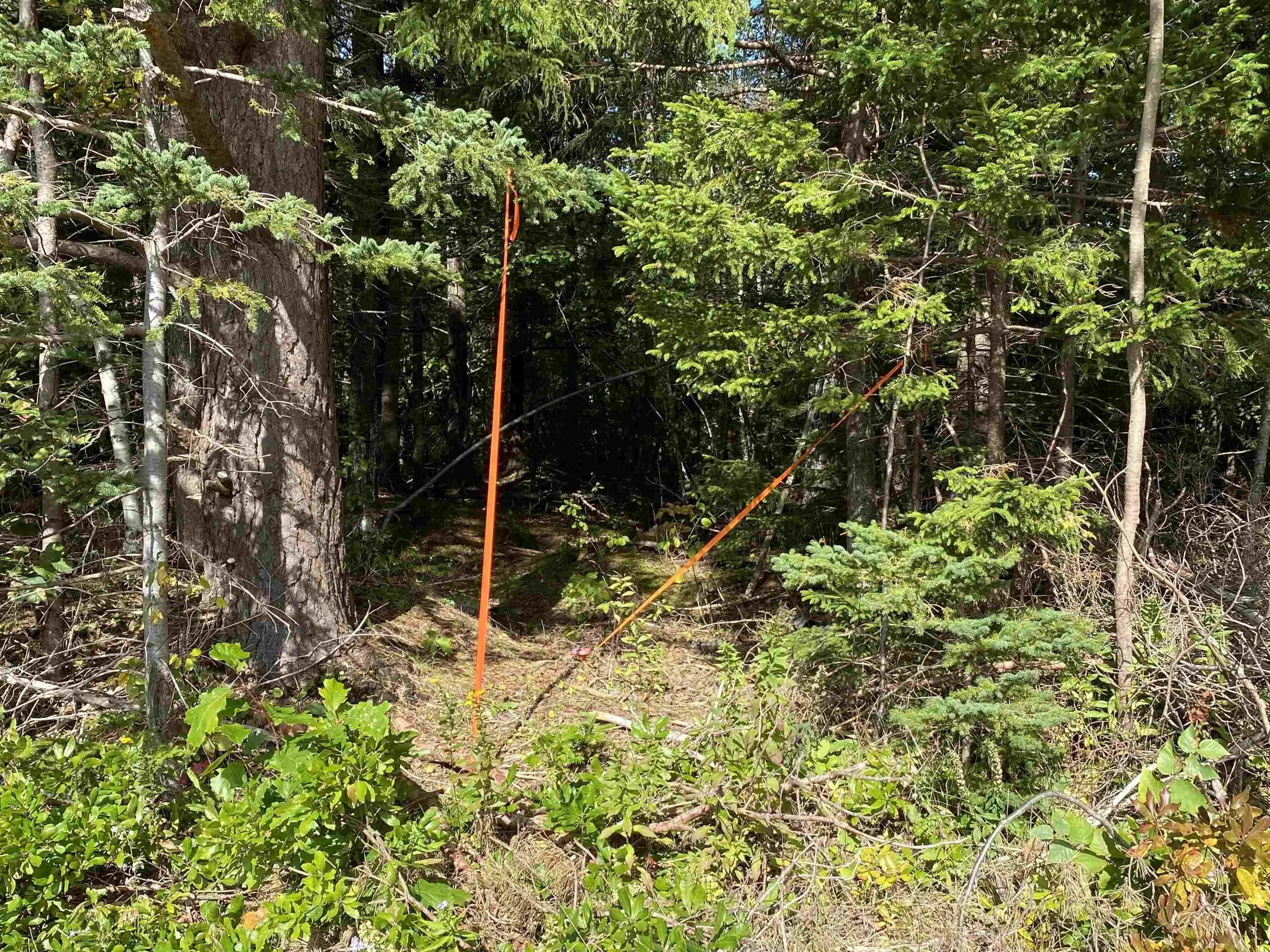 # 101 Highway, Smiths Cove Ns B0s 1s0, ,Land,For Sale,# 101,202503777