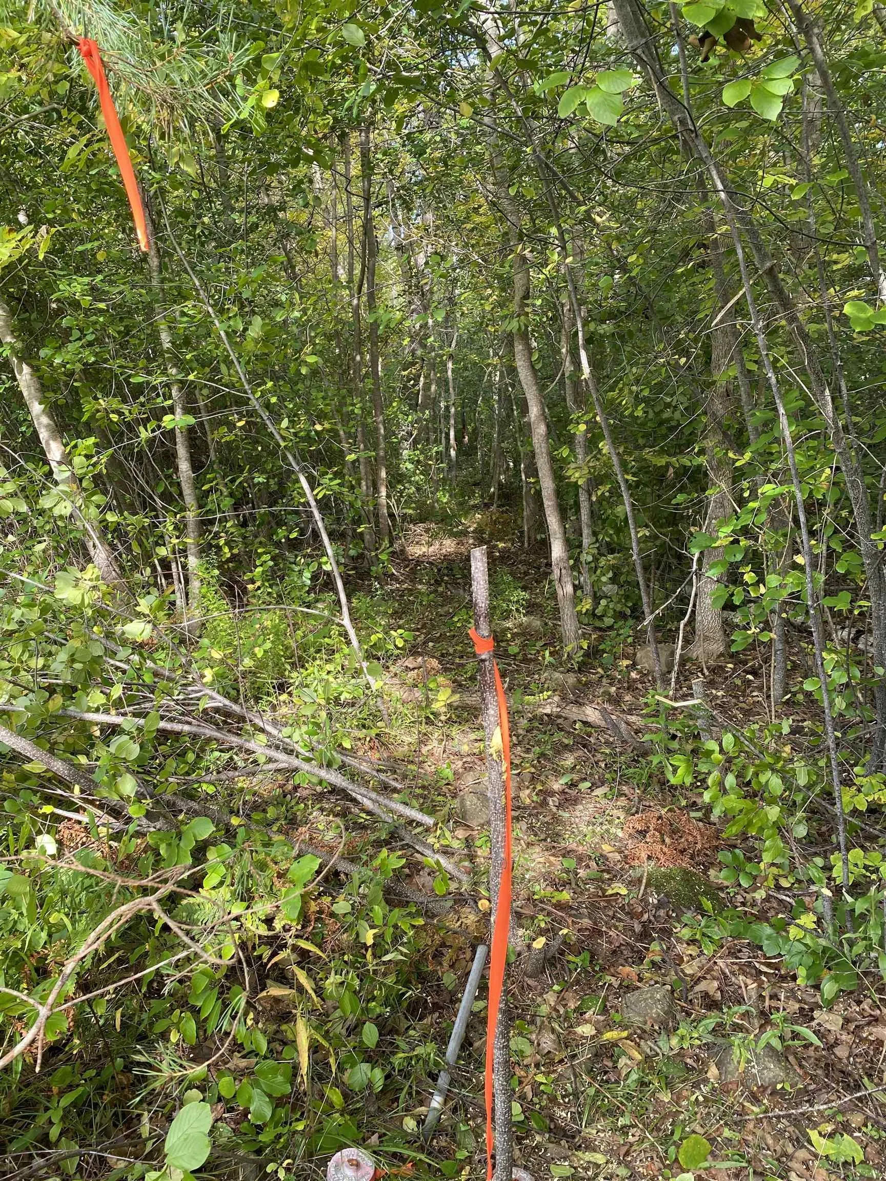 # 101 Highway, Smiths Cove Ns B0s 1s0, ,Land,For Sale,# 101,202503777