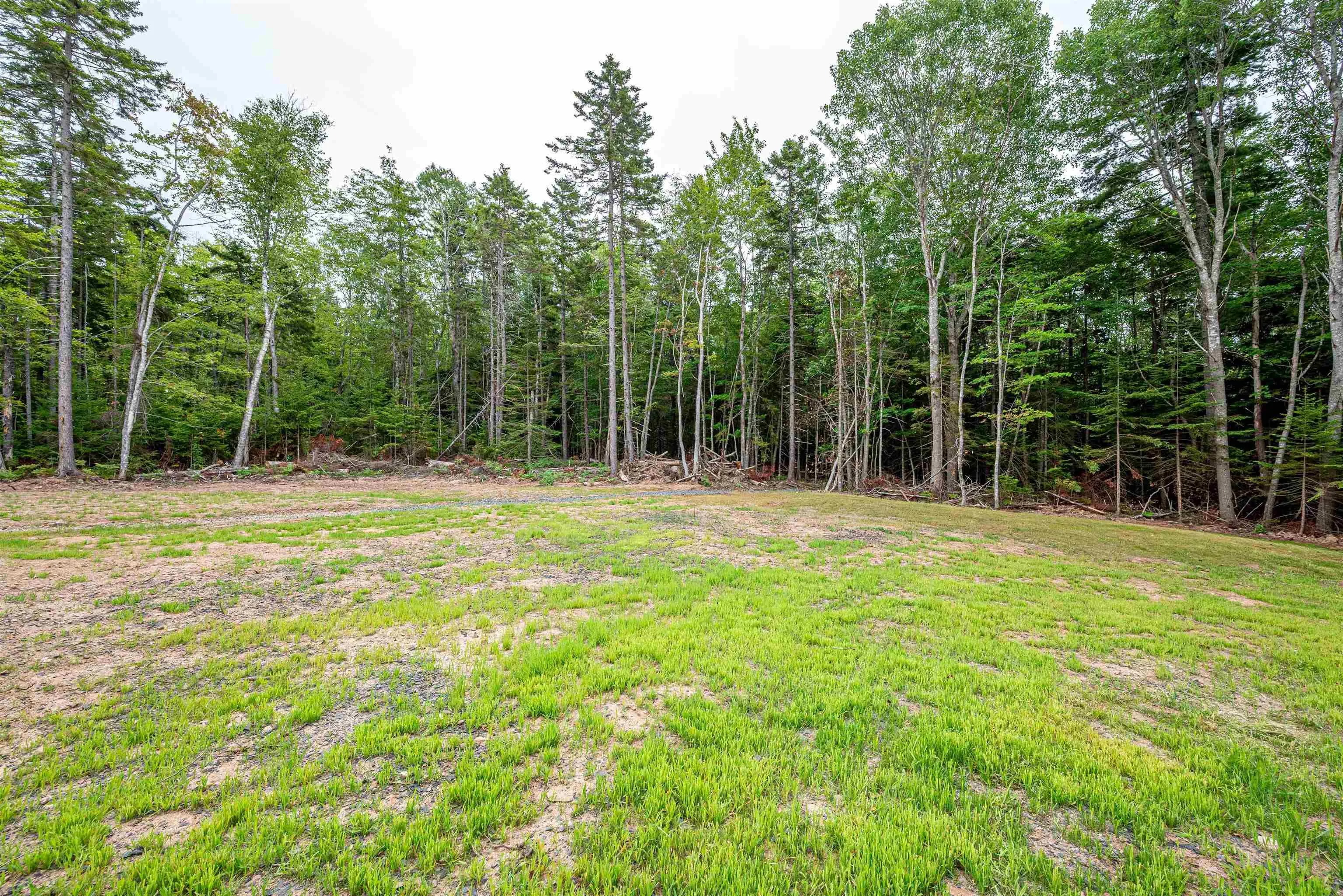 Lot Jc2 Highway 215, Lower Burlington, NS B0N 2A0, 3 Bedrooms Bedrooms, ,2 BathroomsBathrooms,Residential,For Sale,Highway 215,202516759