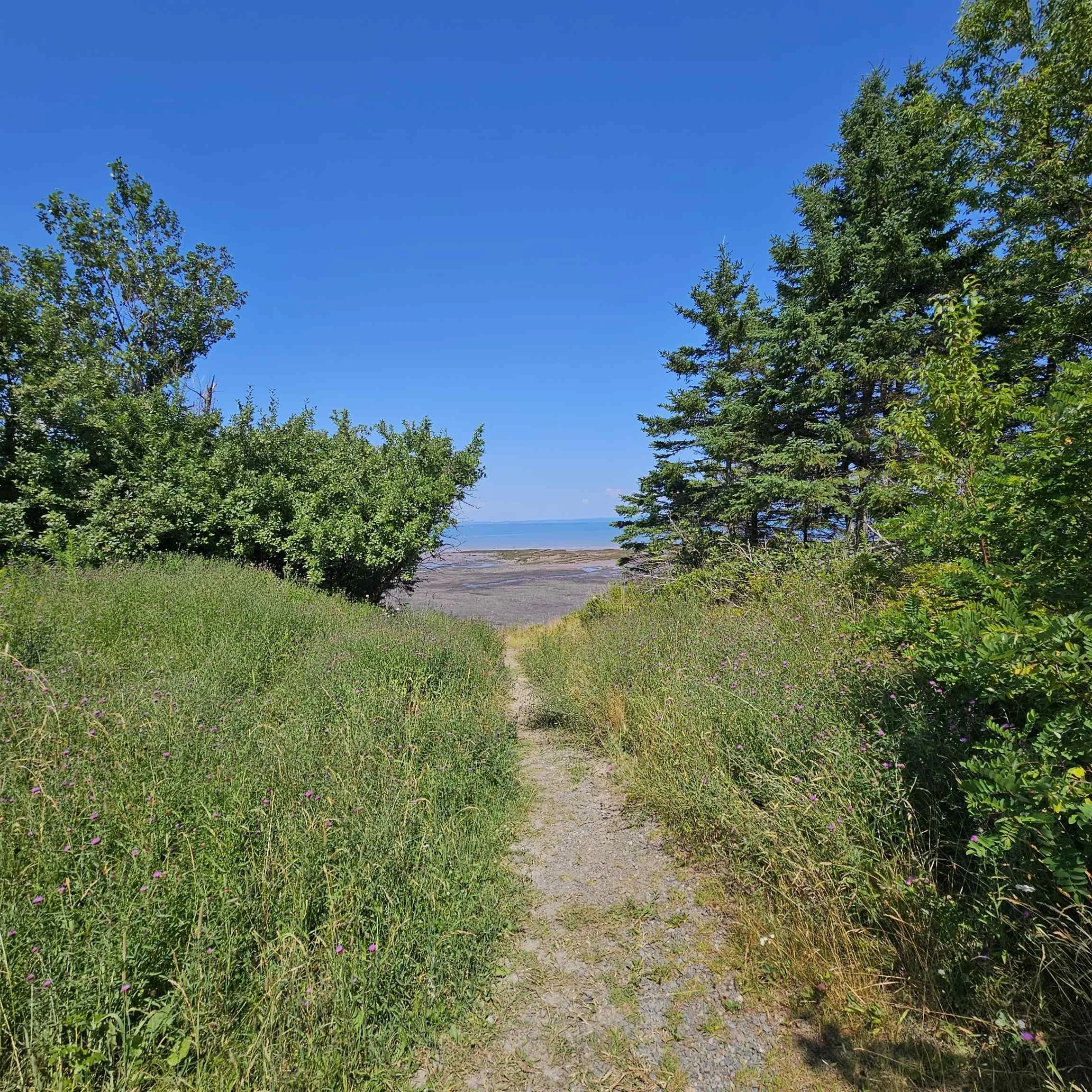 179 Cove Road, Bramber, NS B0N 2R0, ,Land,For Sale,Cove,202518277