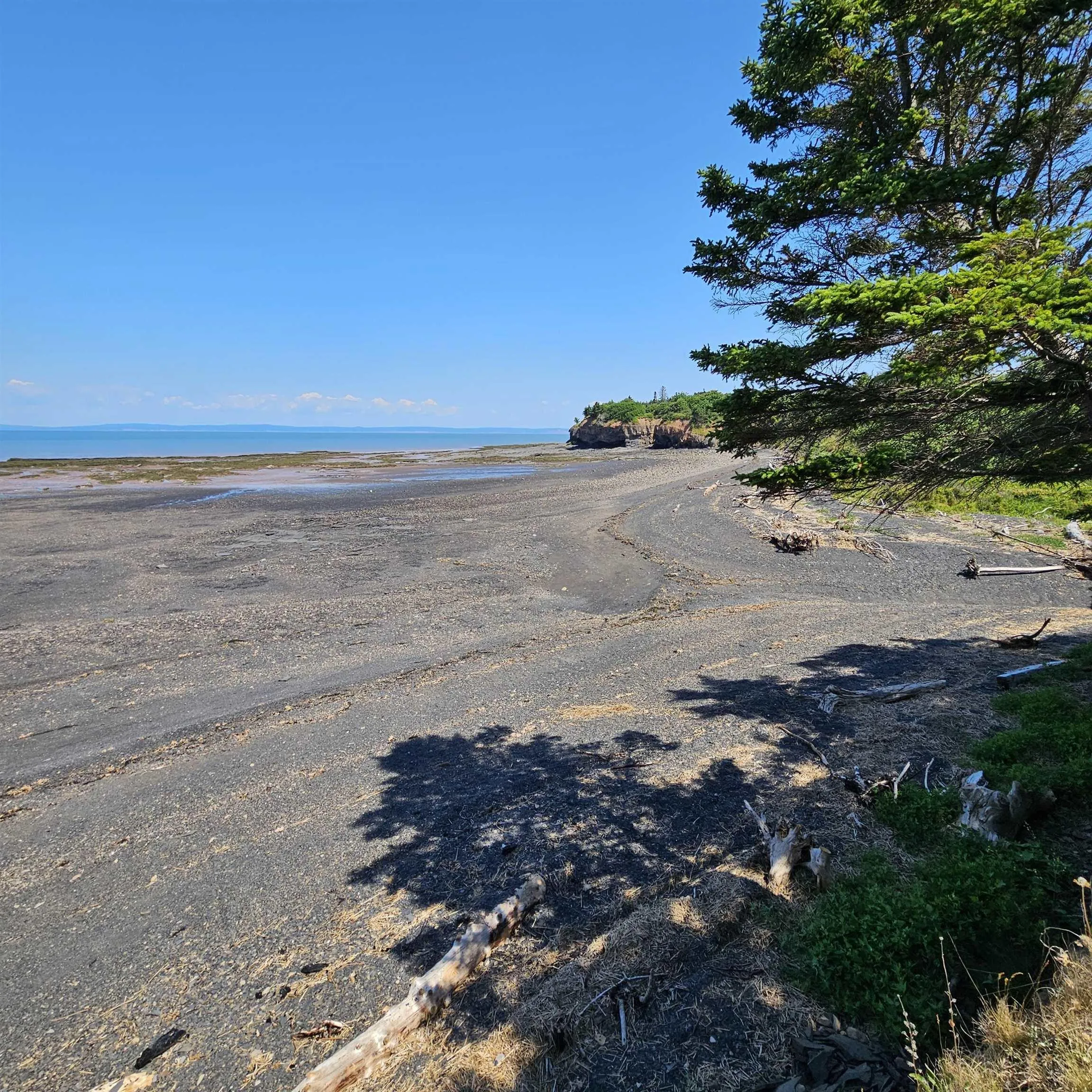 179 Cove Road, Bramber, NS B0N 2R0, ,Land,For Sale,Cove,202518277