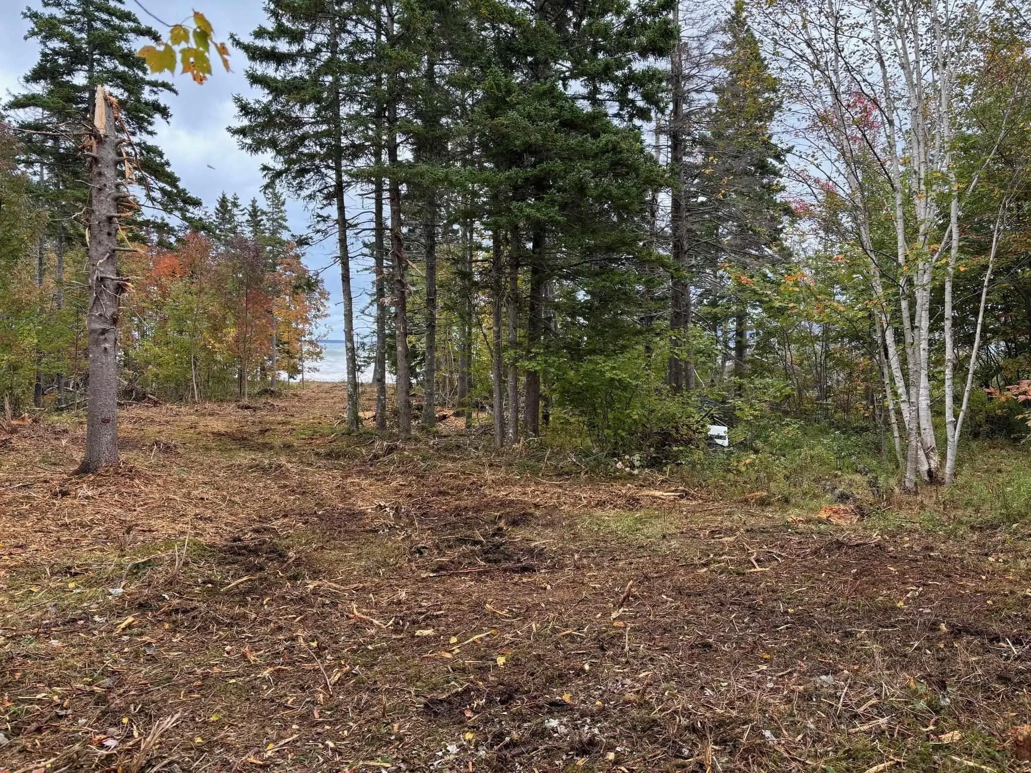 Cabot Trail Lot 24, Indian Brook, NS B0C 1H0, 4 Bedrooms Bedrooms, ,2 BathroomsBathrooms,Residential,For Sale,Cabot,202513159