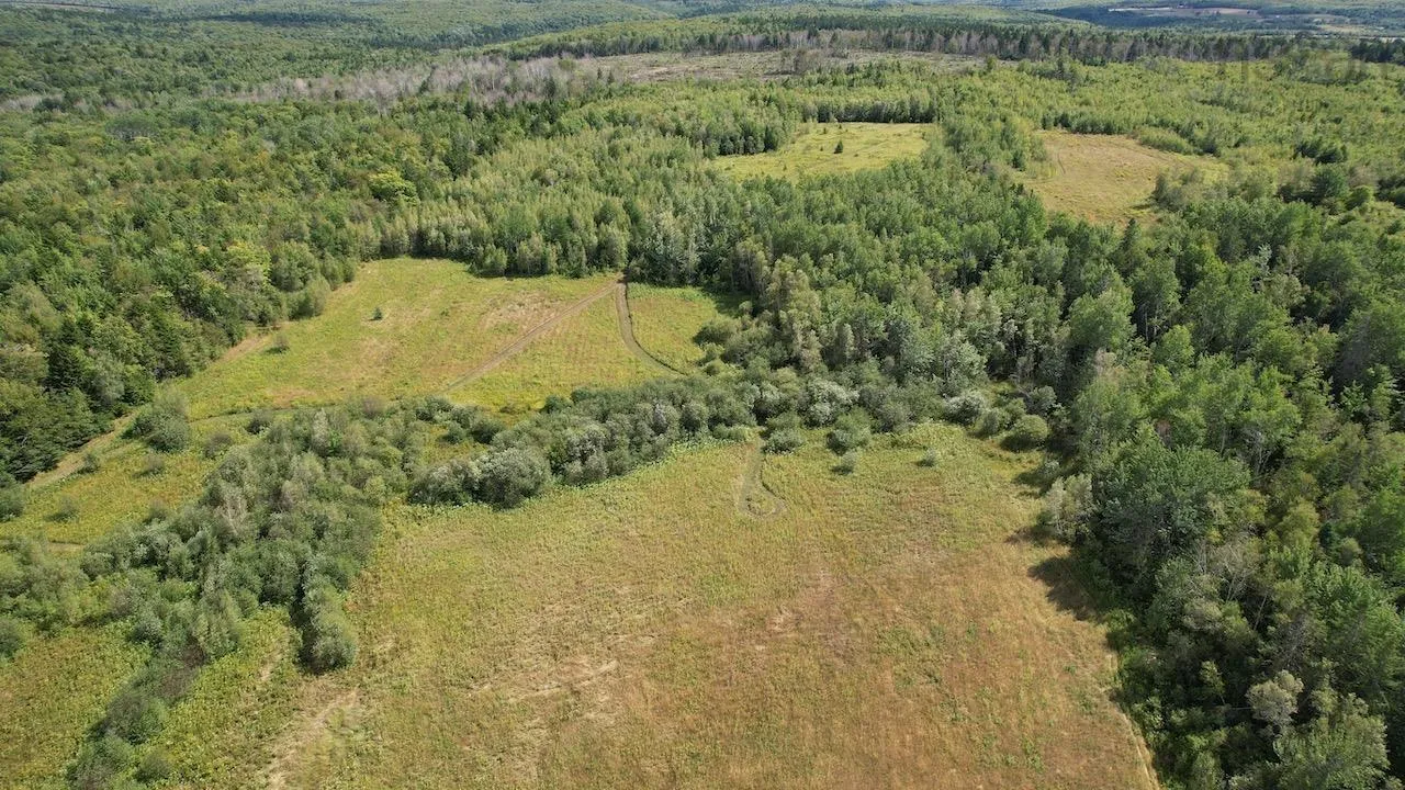 1070 South Brook Road, South Brook, NS B0M 1W0, 3 Bedrooms Bedrooms, ,1 BathroomBathrooms,Residential,For Sale,South Brook,202521086