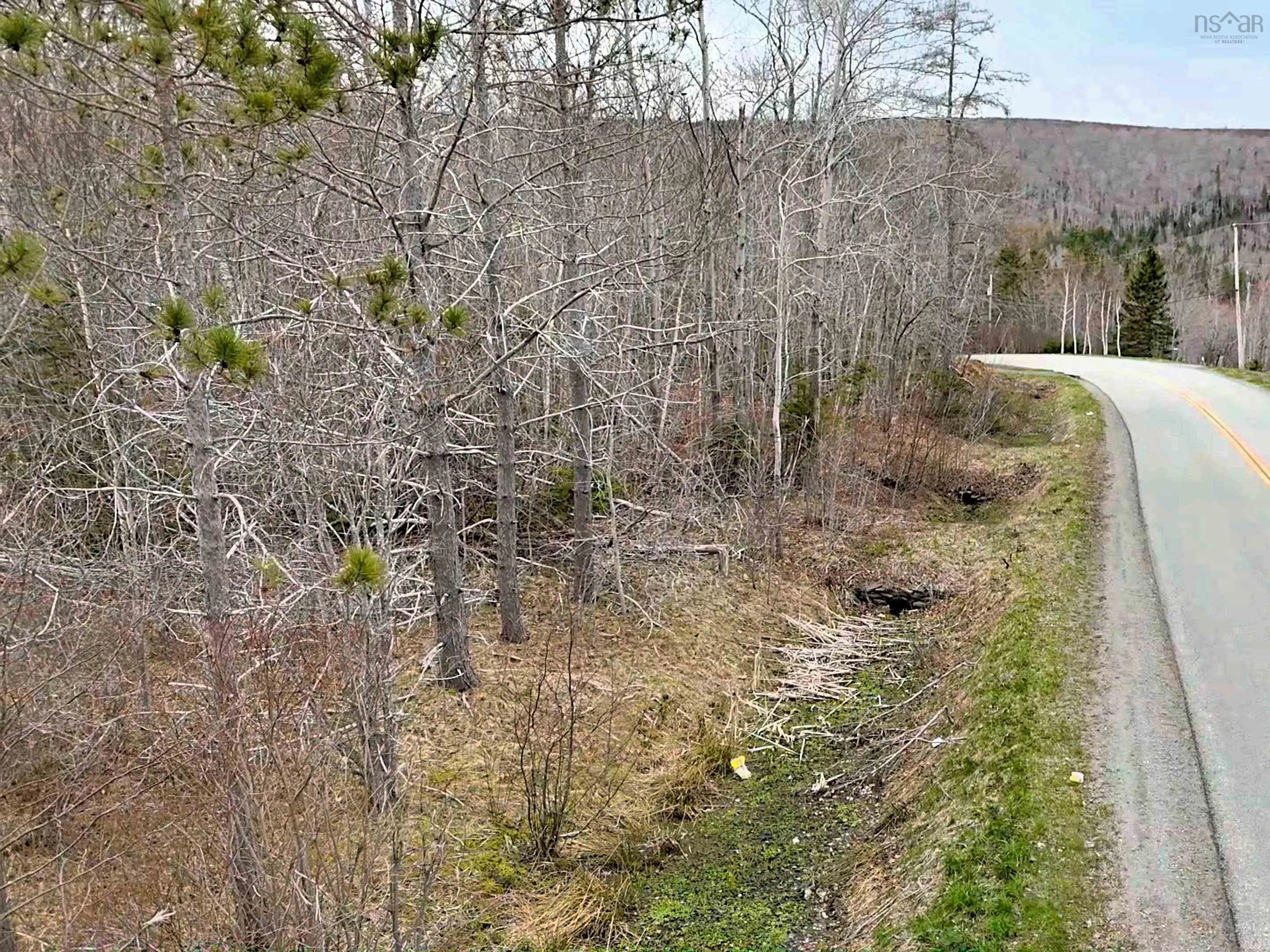 Lot Bm-1 Marble Mountain Road, West Bay Marshes, NS B0E 3K0, ,Land,For Sale,Marble Mountain,202509749