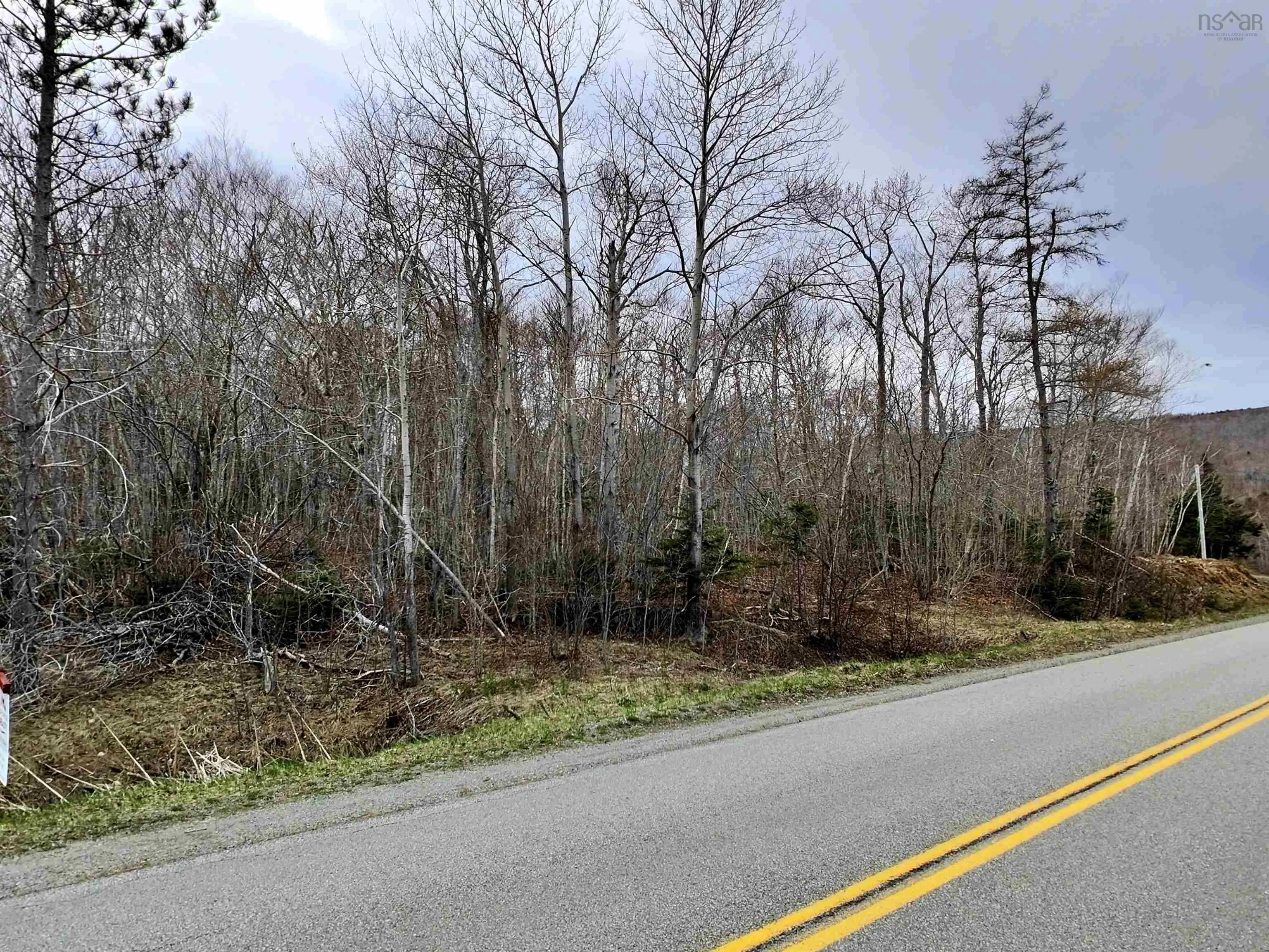Lot Bm-1 Marble Mountain Road, West Bay Marshes, NS B0E 3K0, ,Land,For Sale,Marble Mountain,202509749
