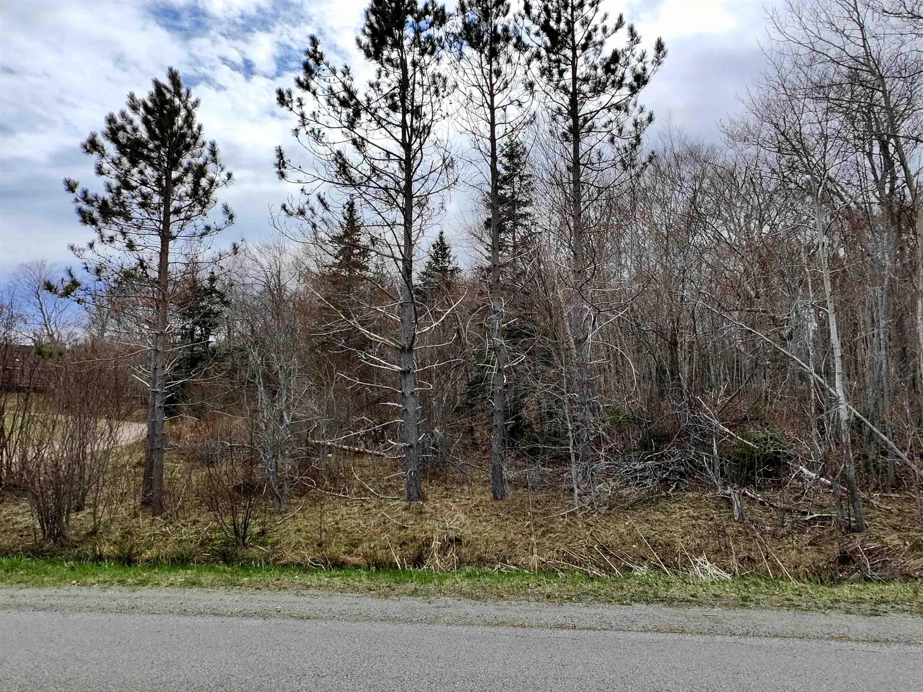 Lot Bm-1 Marble Mountain Road, West Bay Marshes, NS B0E 3K0, ,Land,For Sale,Marble Mountain,202509749