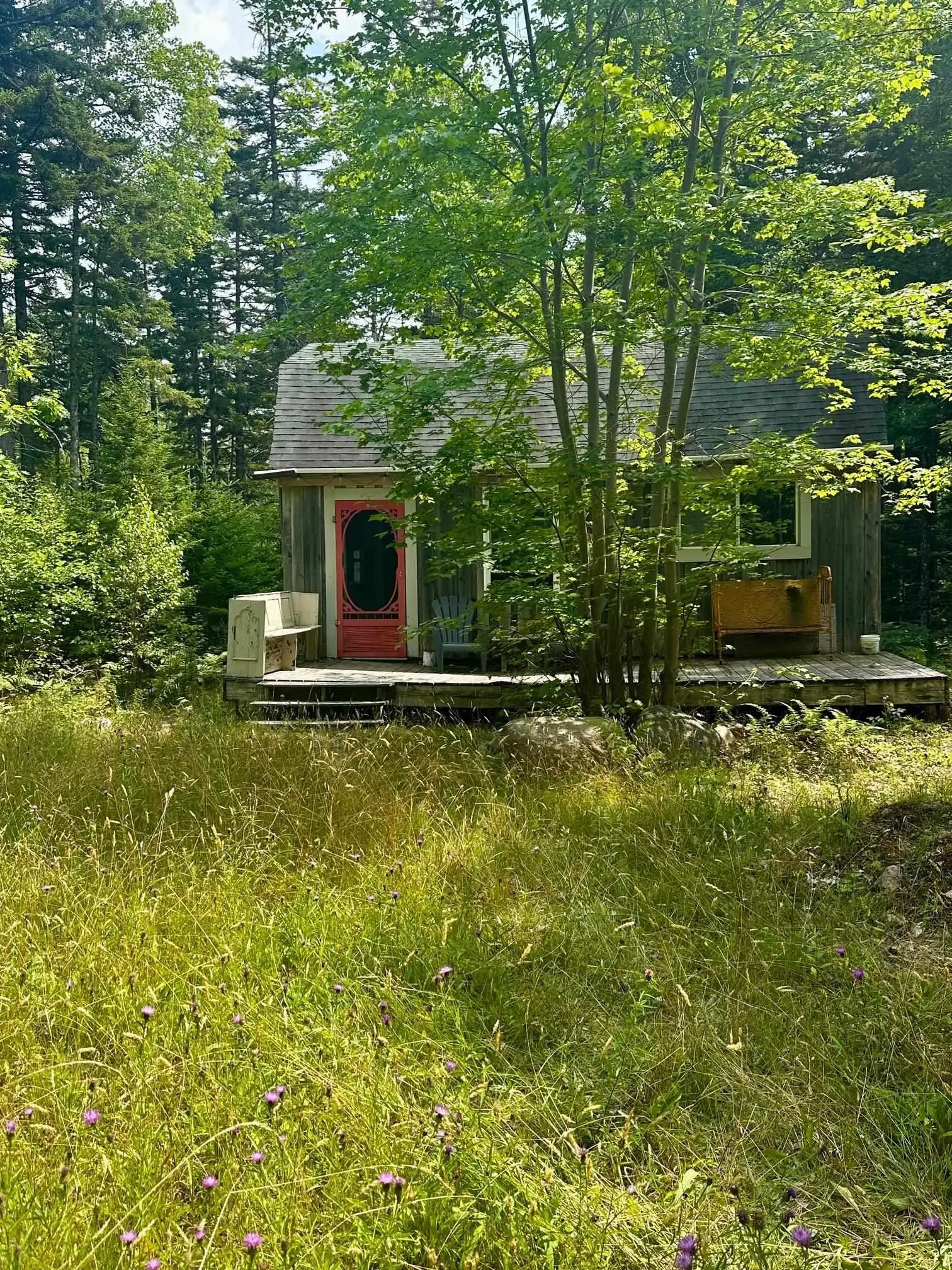 310 Black Duck Lake Rd, East Dalhousie, NS B0R 1H0, ,Residential,For Sale,Black Duck Lake Rd,202519934