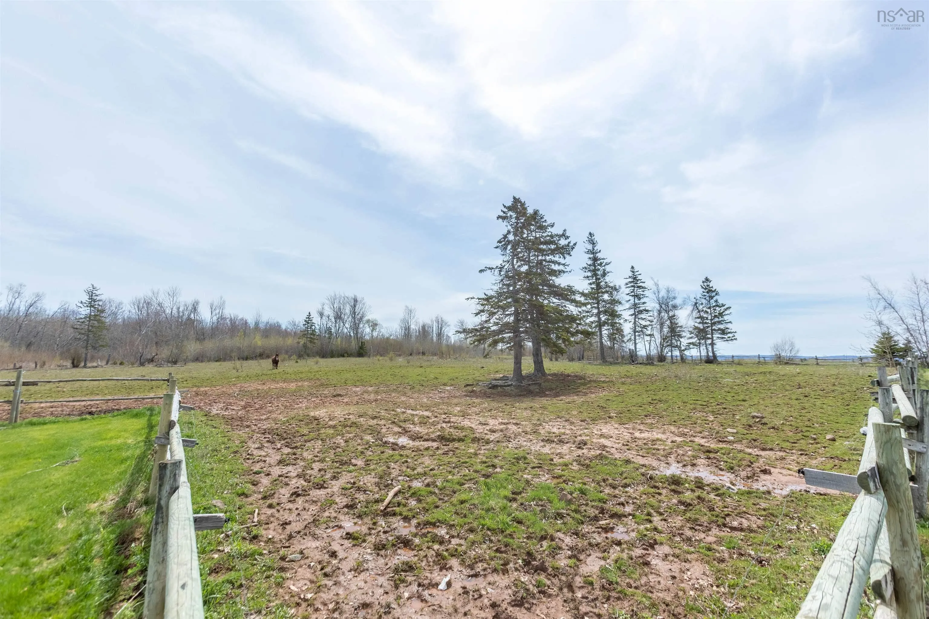 199 Mcinnis Road, Wallace Ridge, NS B0K 1E0, 3 Bedrooms Bedrooms, ,2 BathroomsBathrooms,Farm,For Sale,Mcinnis,202520337
