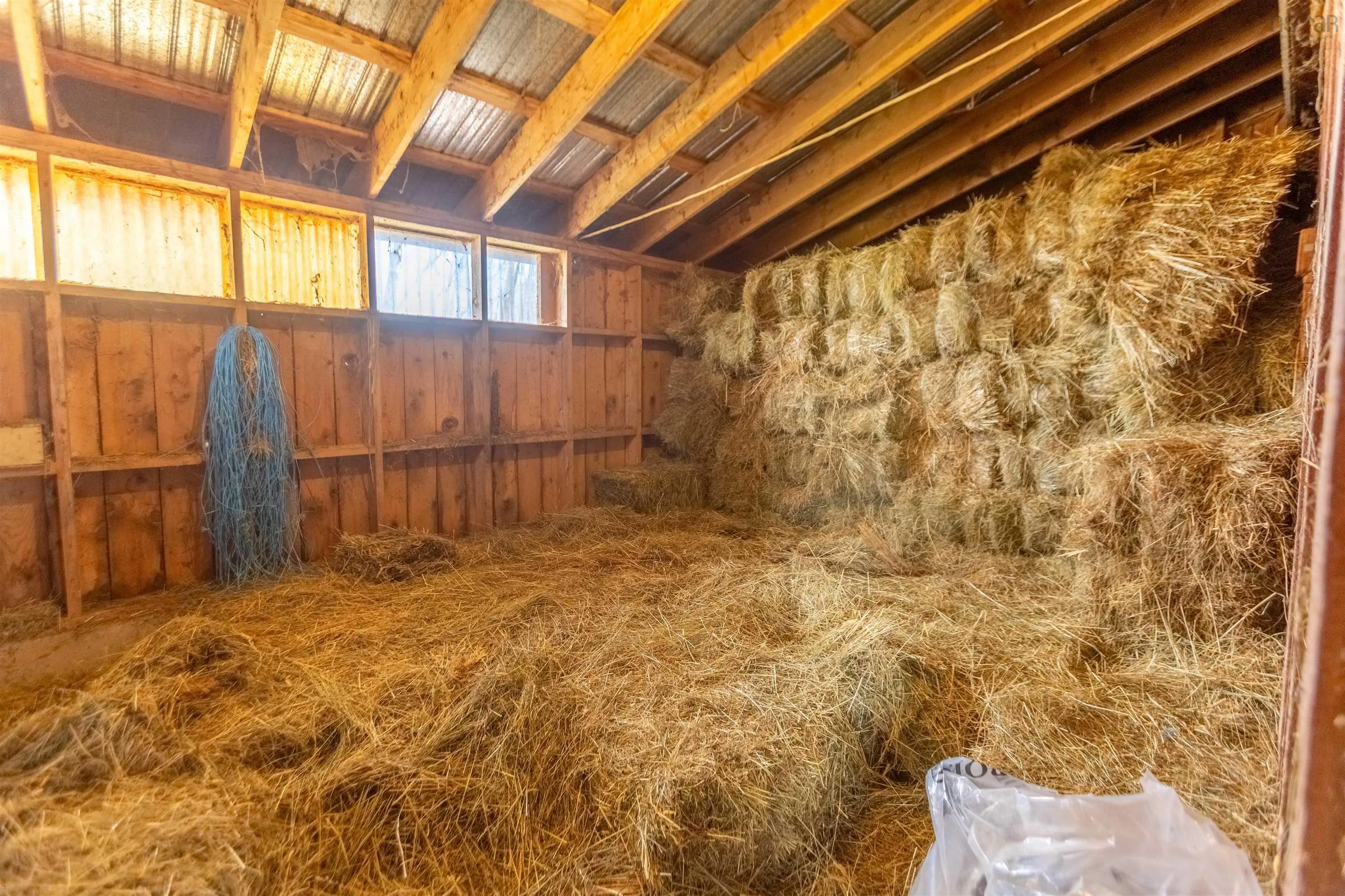 199 Mcinnis Road, Wallace Ridge, NS B0K 1E0, 3 Bedrooms Bedrooms, ,2 BathroomsBathrooms,Farm,For Sale,Mcinnis,202520337