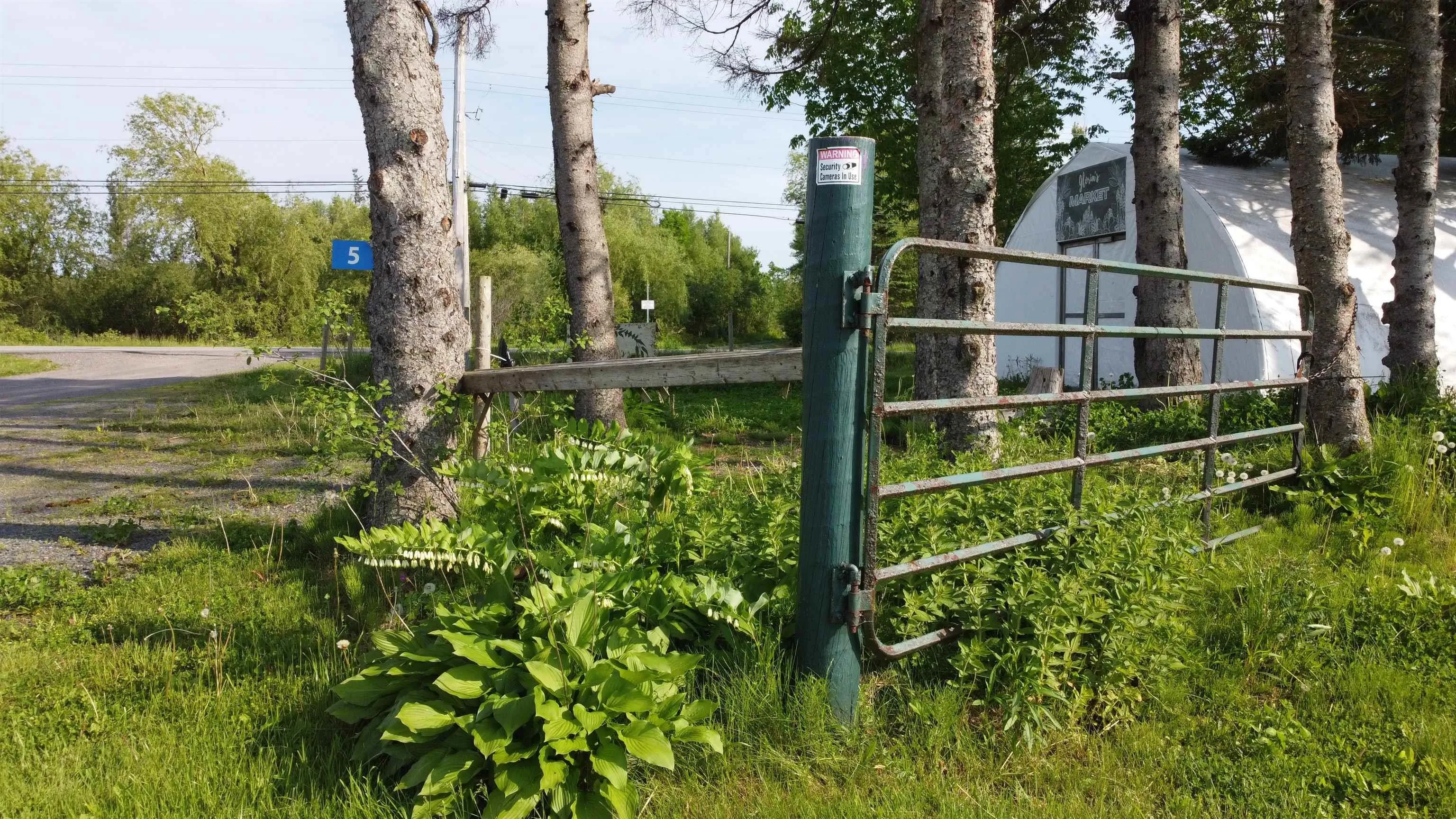 5 Carlson Lane, Marshville, NS B0K 1N0, ,Land,For Sale,Carlson,202518125