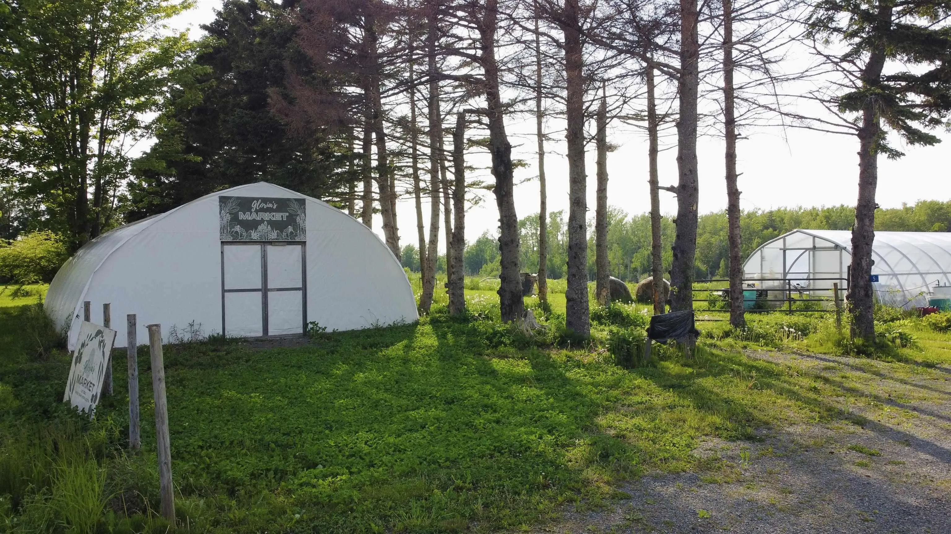 5 Carlson Lane, Marshville, NS B0K 1N0, ,Land,For Sale,Carlson,202518125