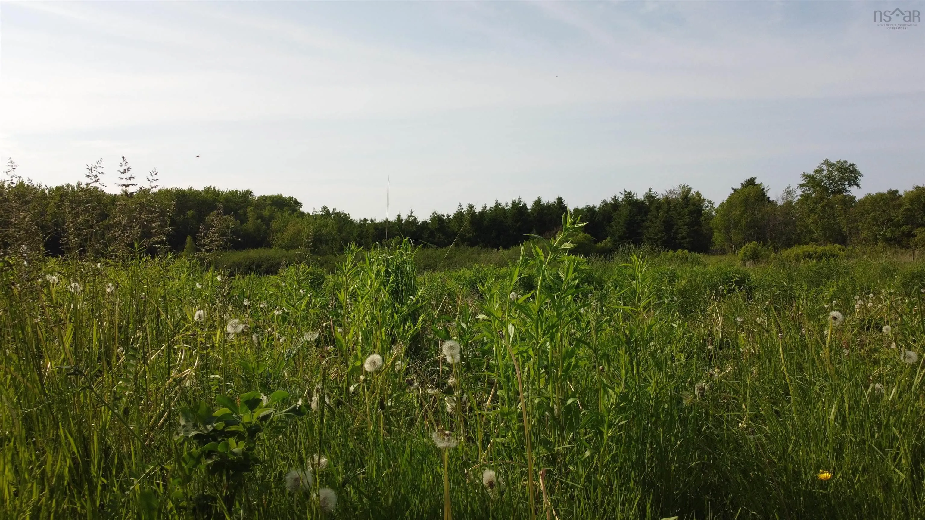 5 Carlson Lane, Marshville, NS B0K 1N0, ,Land,For Sale,Carlson,202518125