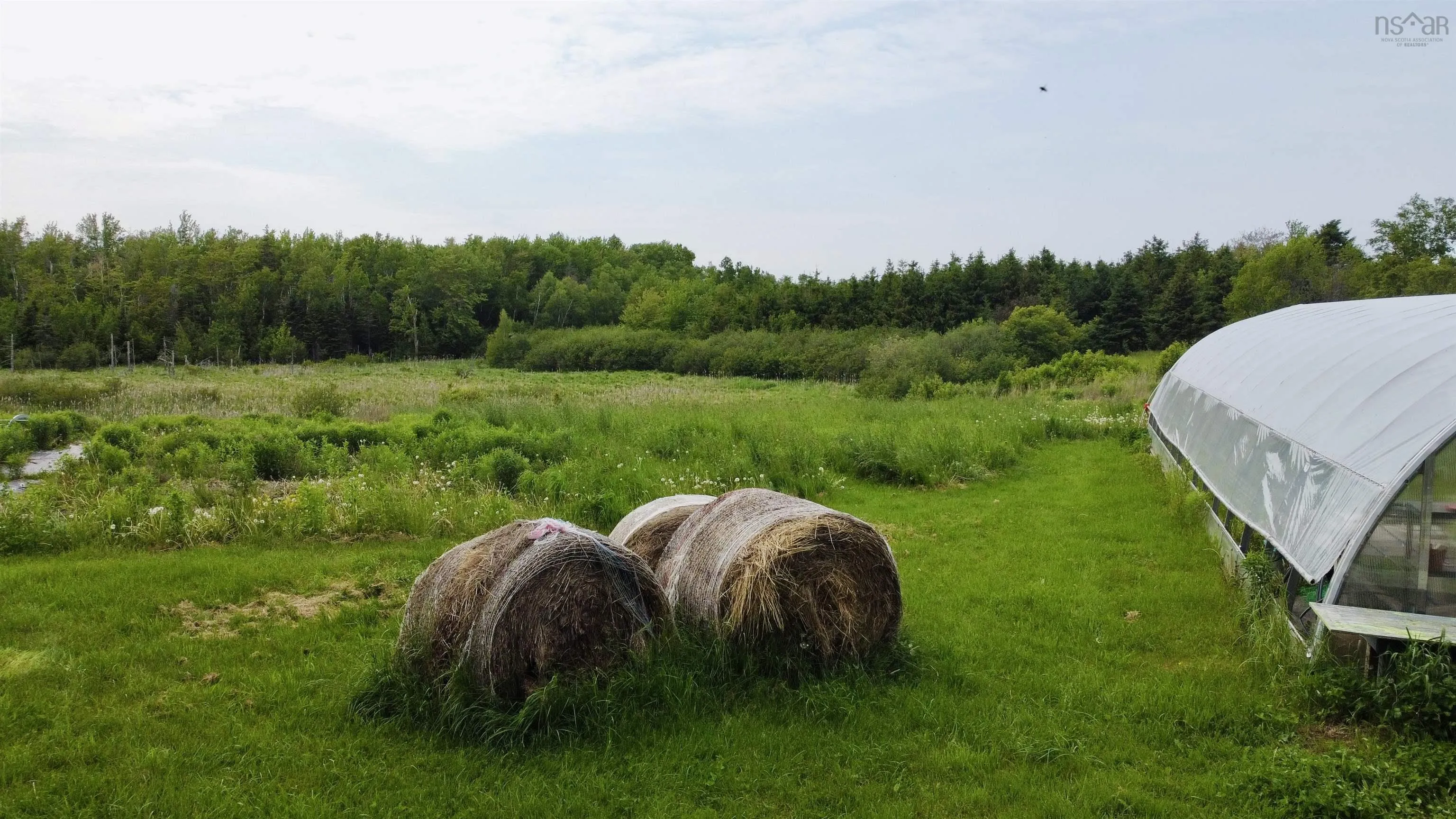 5 Carlson Lane, Marshville, NS B0K 1N0, ,Land,For Sale,Carlson,202518125