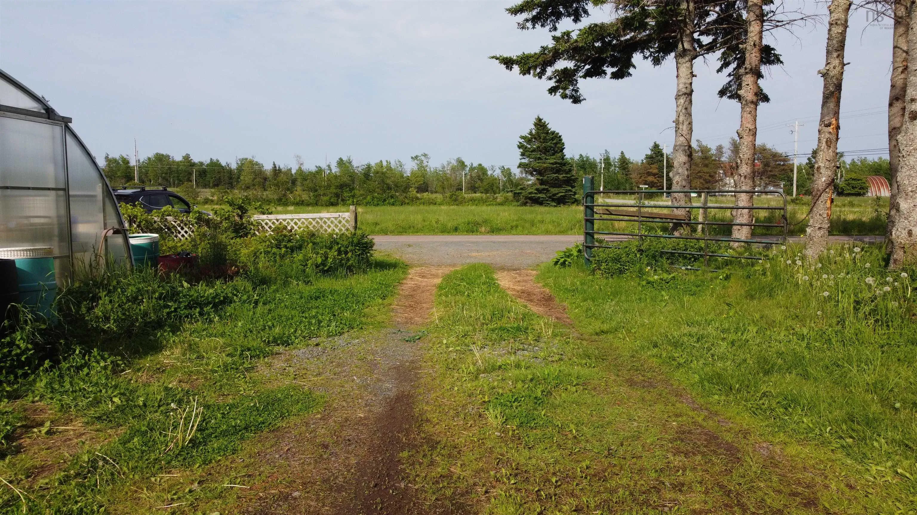 5 Carlson Lane, Marshville, NS B0K 1N0, ,Land,For Sale,Carlson,202518125