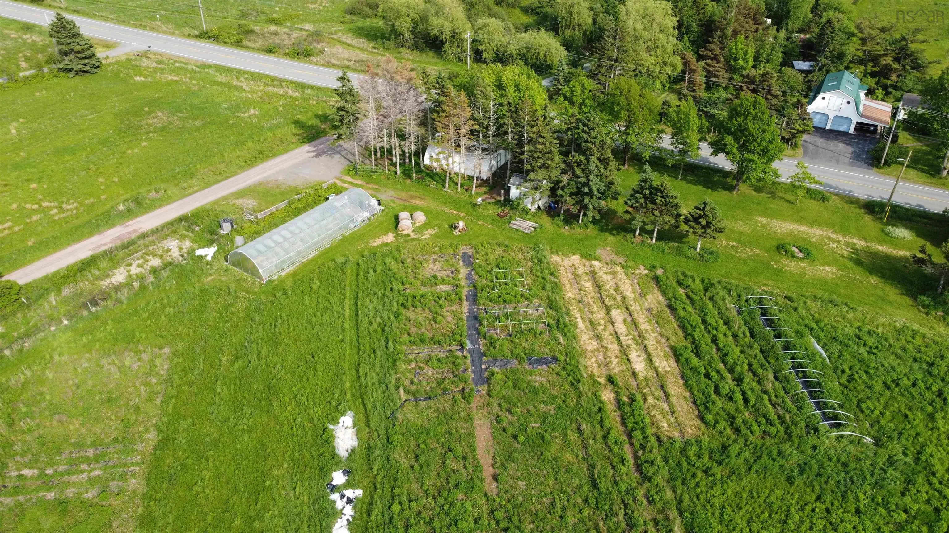 5 Carlson Lane, Marshville, NS B0K 1N0, ,Land,For Sale,Carlson,202518125