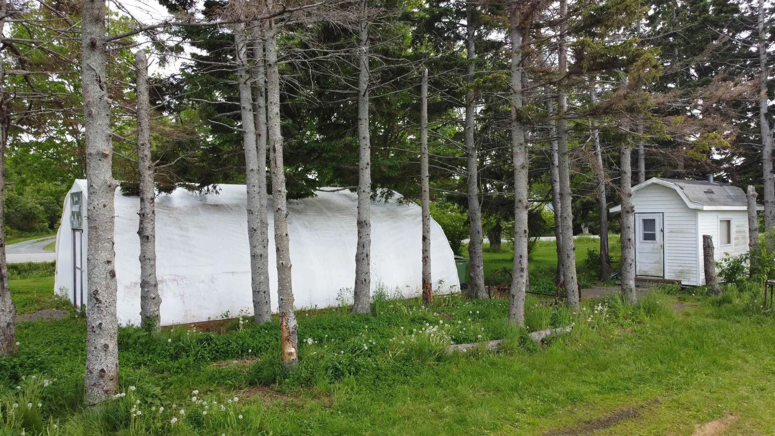 5 Carlson Lane, Marshville, NS B0K 1N0, ,Land,For Sale,Carlson,202518125