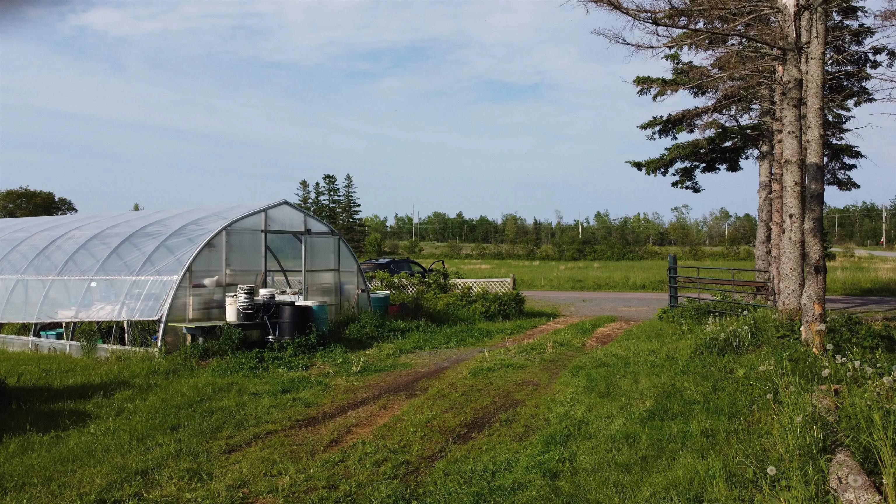 5 Carlson Lane, Marshville, NS B0K 1N0, ,Land,For Sale,Carlson,202518125
