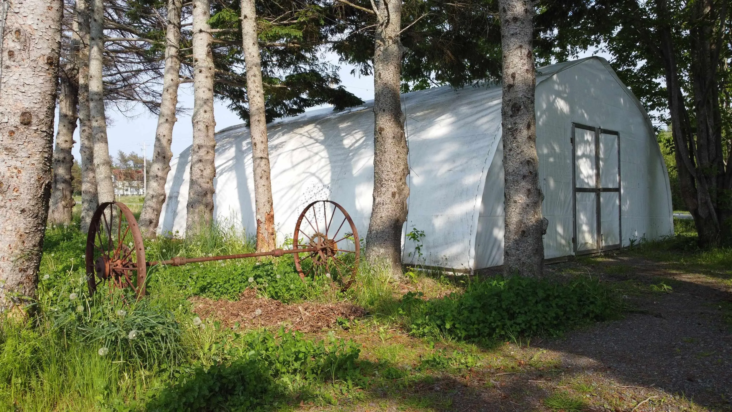 5 Carlson Lane, Marshville, NS B0K 1N0, ,Land,For Sale,Carlson,202518125