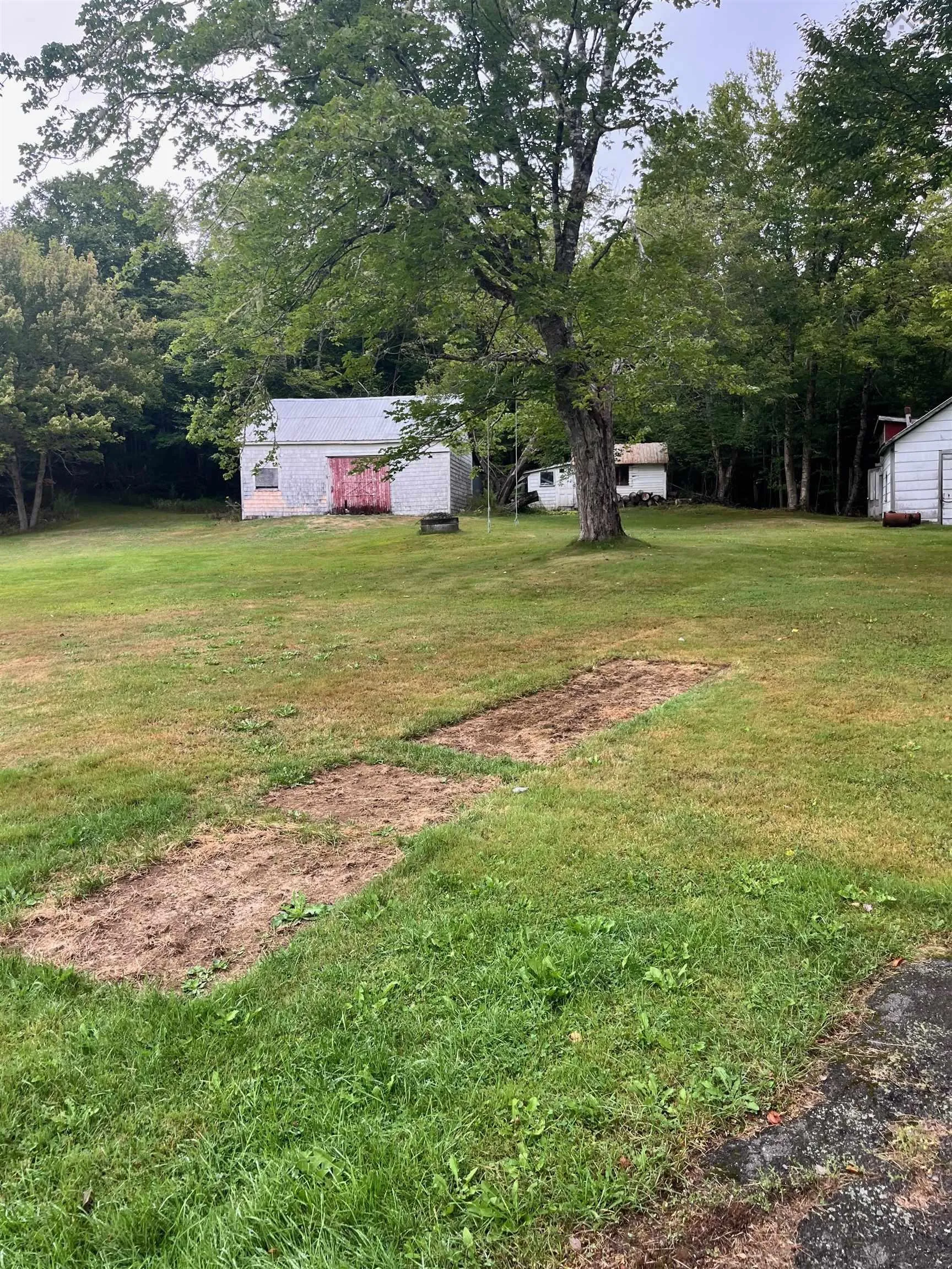 8664 Highway 7, Sherbrooke, NS B0J 3C0, 4 Bedrooms Bedrooms, ,1 BathroomBathrooms,Residential,For Sale,Highway 7,202522736