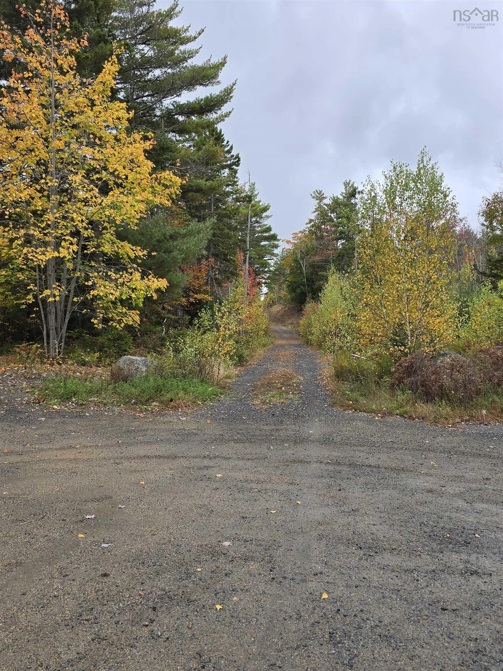 Riverview Drive, Bridgewater Ns B4v 3a1, ,Land,For Sale,Riverview,202424418