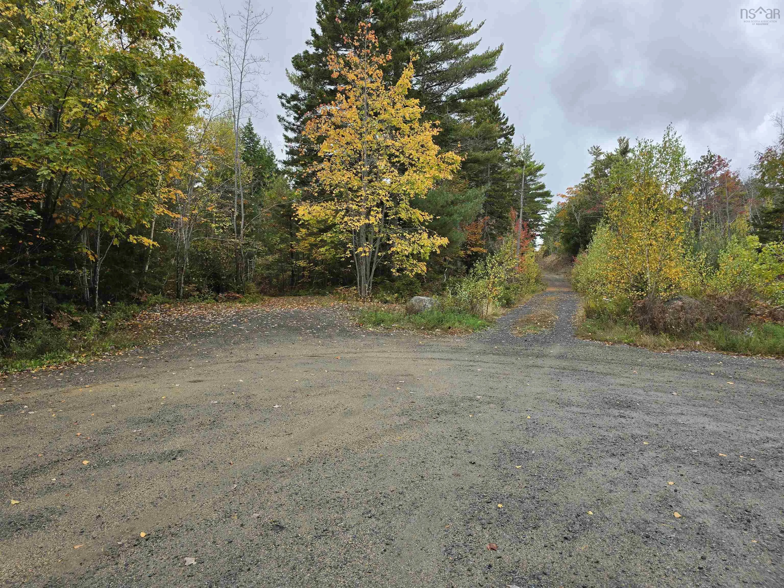 Riverview Drive, Bridgewater Ns B4v 3a1, ,Land,For Sale,Riverview,202424418