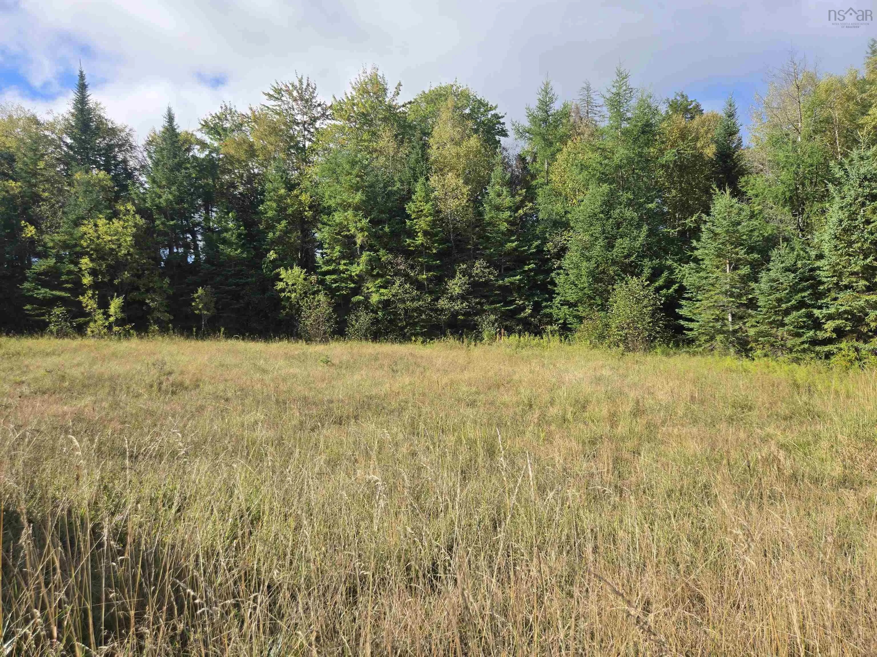 Highway 368 Lot 8, Fountain Road, NS B0K 1Y0, ,Land,For Sale,Highway 368,202523360