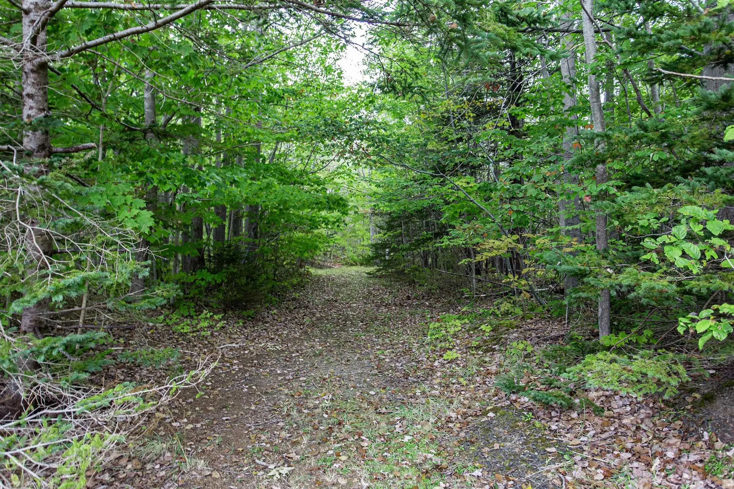 904 Fraser Road, Princedale, NS B0S 1G0, 3 Bedrooms Bedrooms, ,2 BathroomsBathrooms,Residential,For Sale,Fraser,202522587