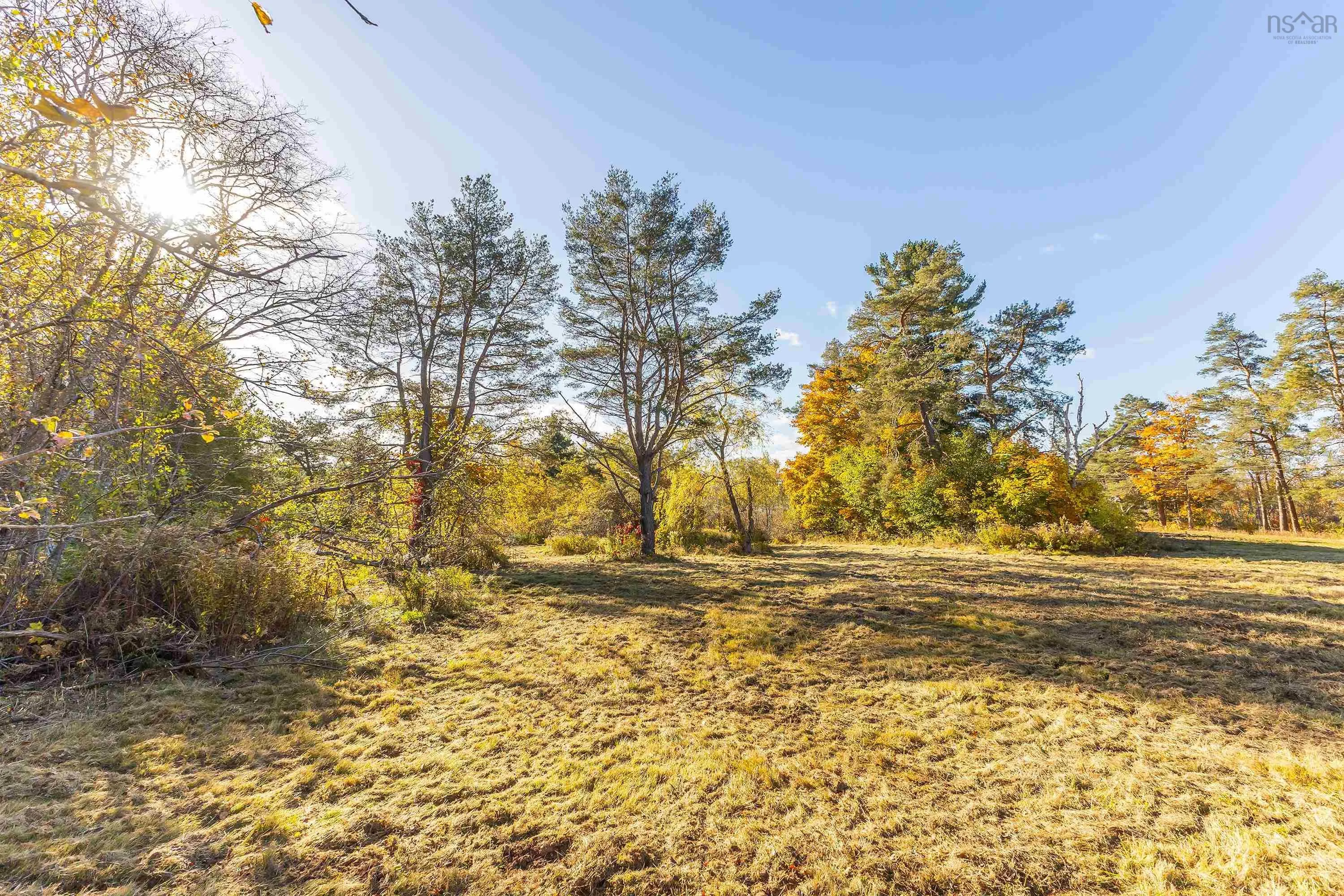 3072 Highway 376, Pictou, NS B0K 1H0, ,Land,For Sale,Highway 376,202512119