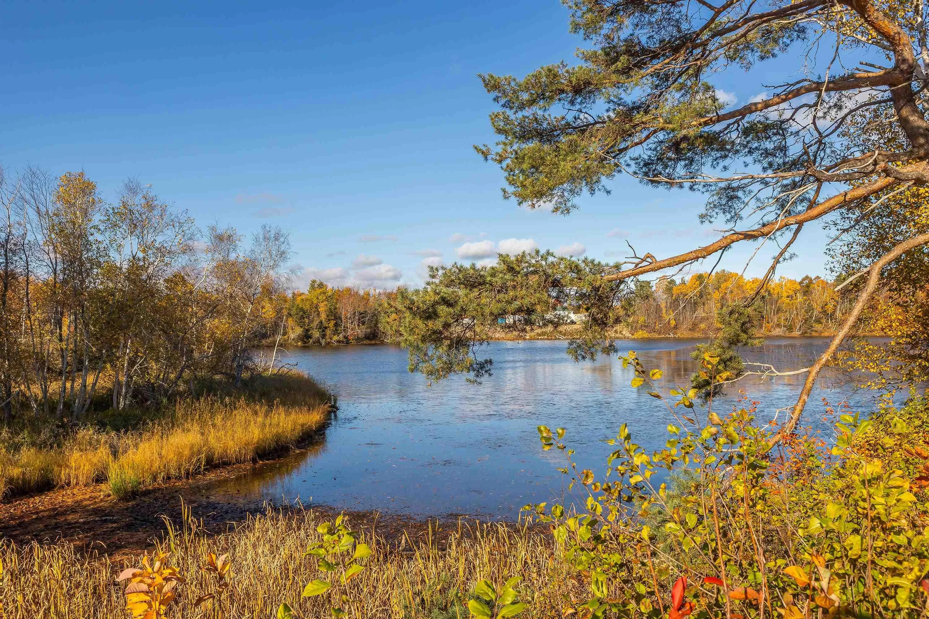 3072 Highway 376, Pictou, NS B0K 1H0, ,Land,For Sale,Highway 376,202512119
