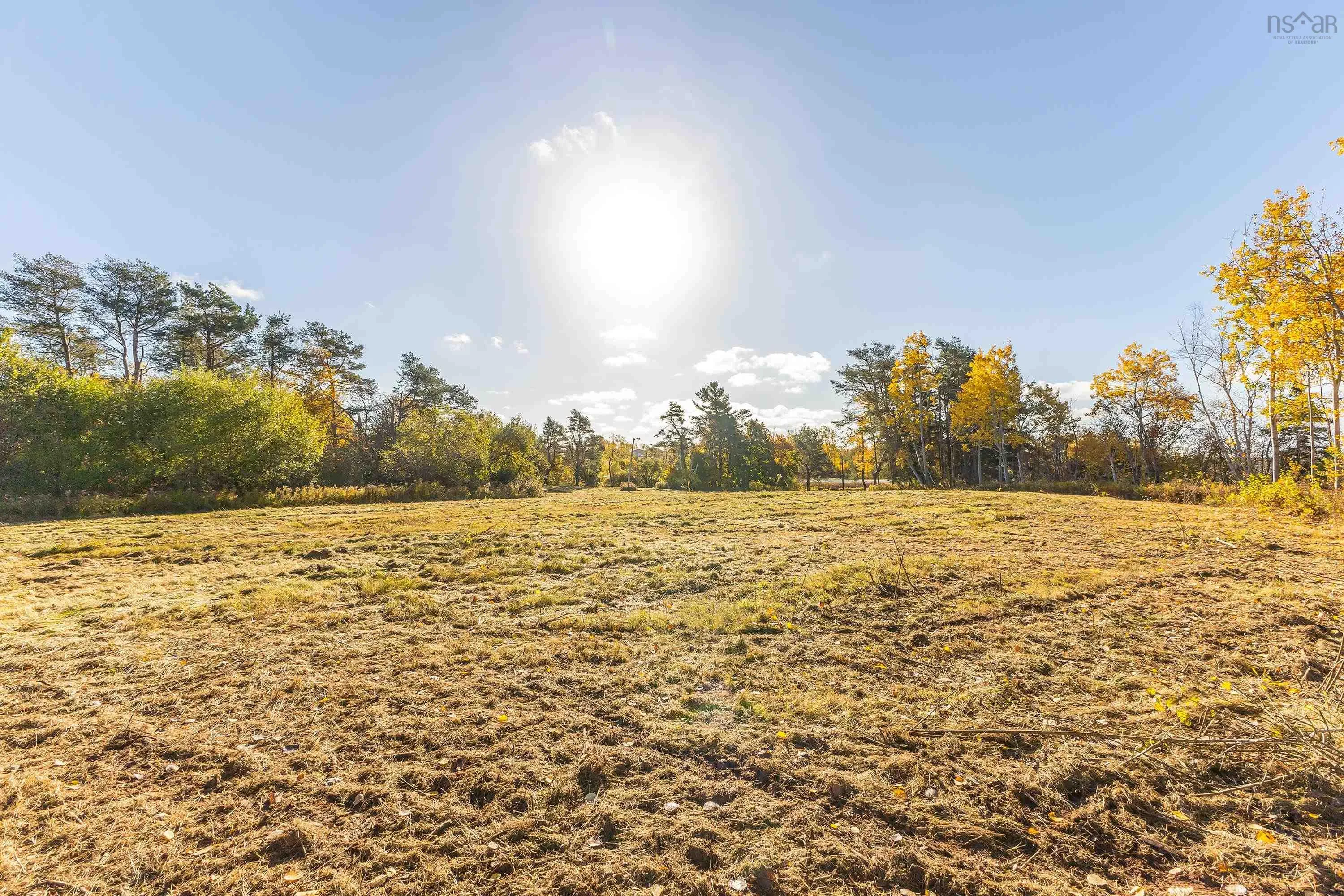 3072 Highway 376, Pictou, NS B0K 1H0, ,Land,For Sale,Highway 376,202512119