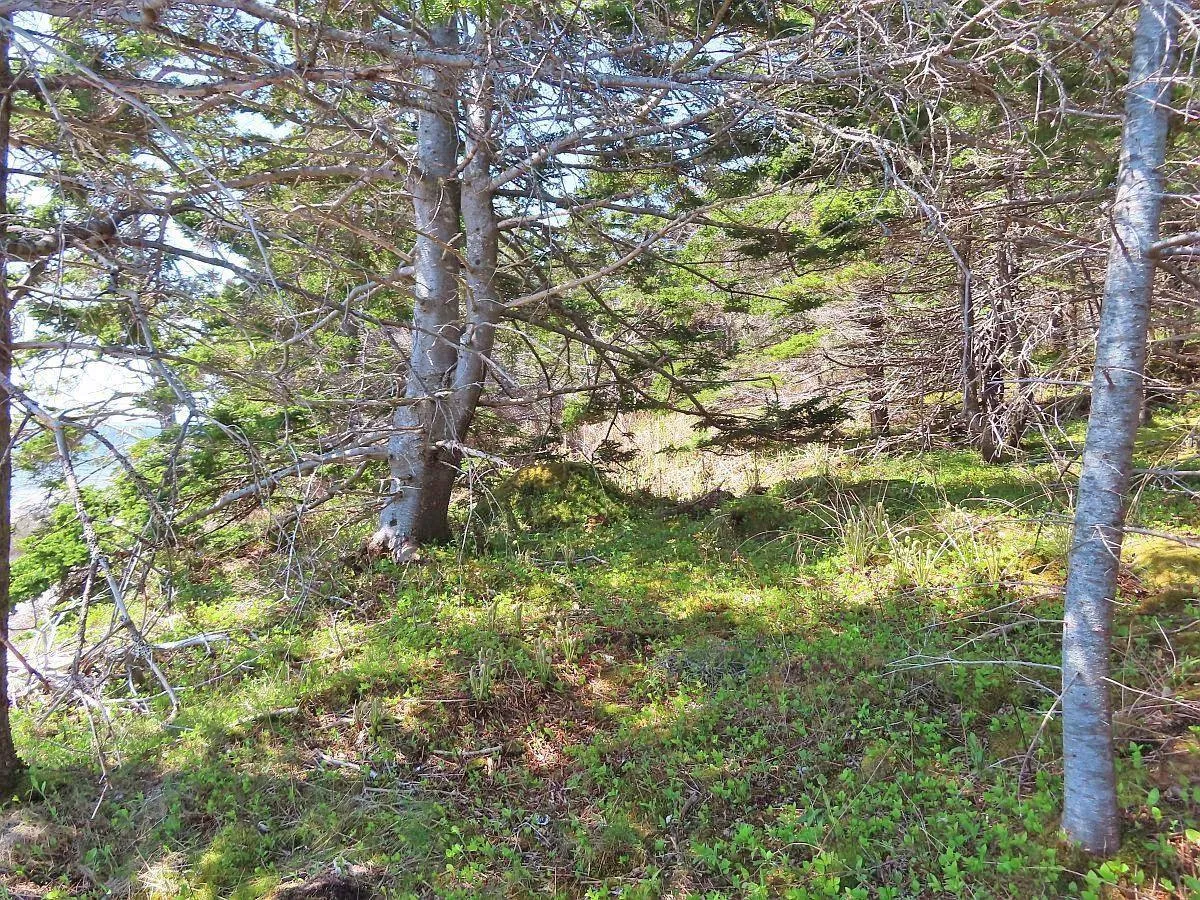 Lot 6 316 Hwy (grovers Point), Cole Harbour Ns B0h 1t0, ,Land,For Sale,316 Hwy (Grovers Point),202500356