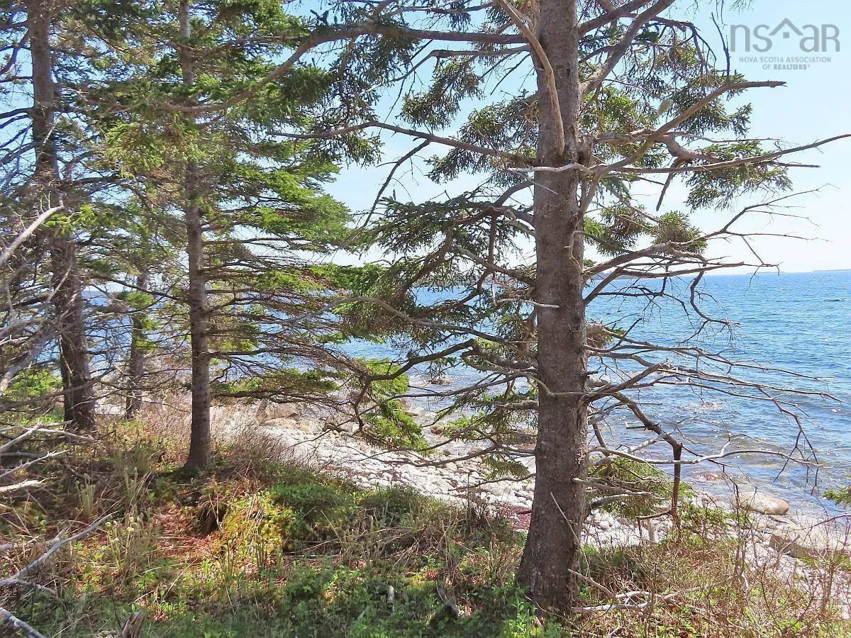 Lot 6 316 Hwy (grovers Point), Cole Harbour Ns B0h 1t0, ,Land,For Sale,316 Hwy (Grovers Point),202500356