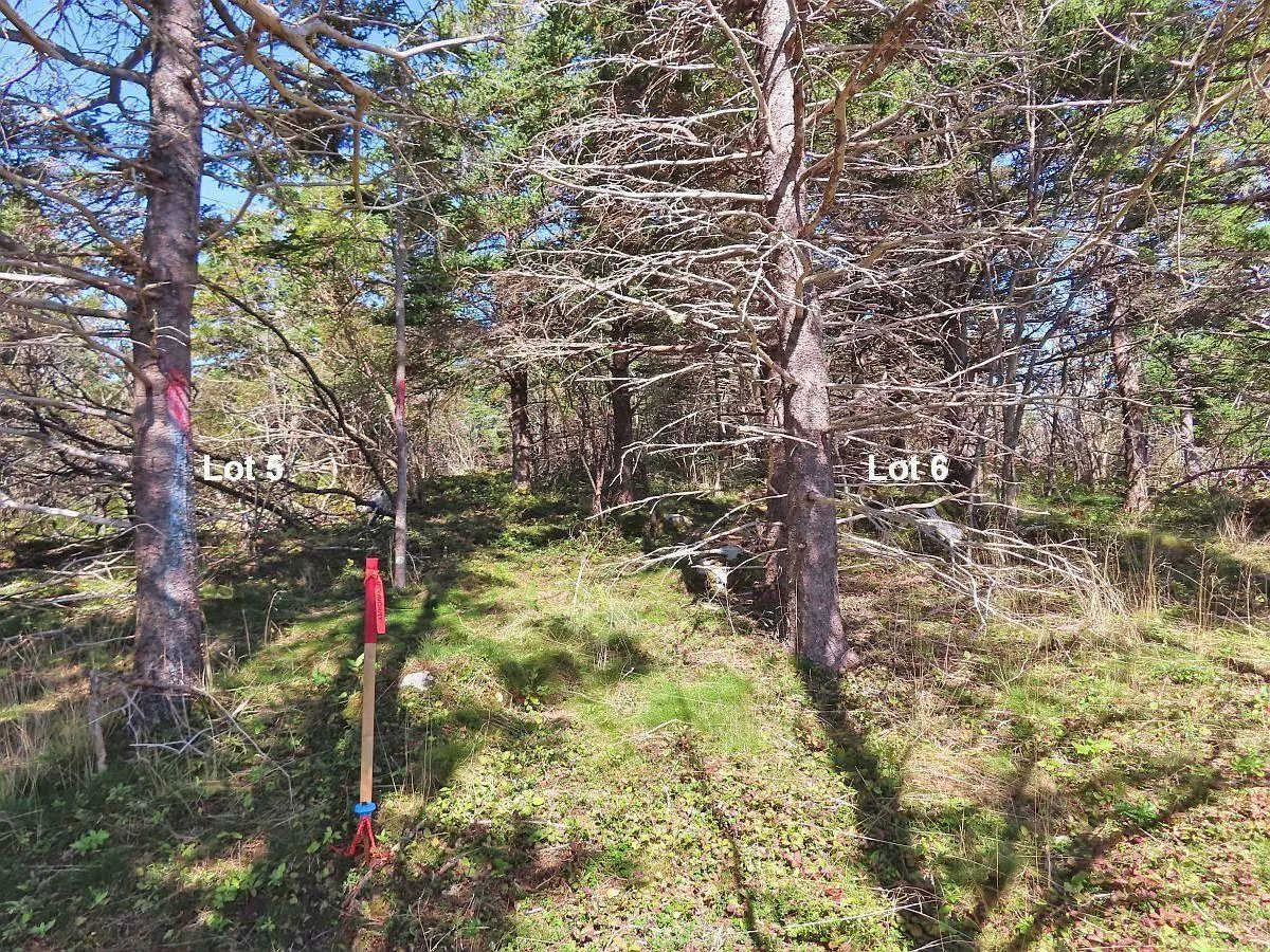 Lot 6 316 Hwy (grovers Point), Cole Harbour Ns B0h 1t0, ,Land,For Sale,316 Hwy (Grovers Point),202500356