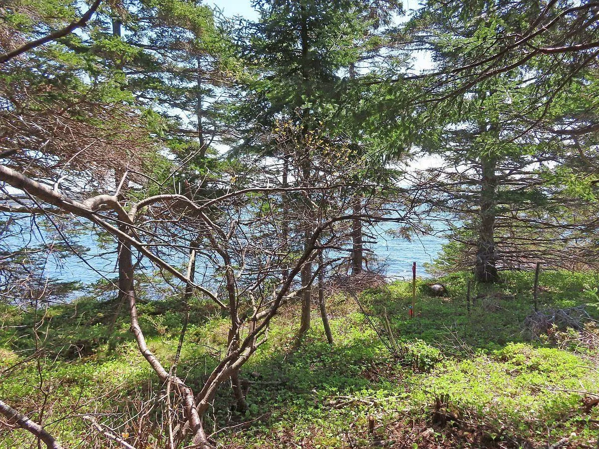Lot 6 316 Hwy (grovers Point), Cole Harbour Ns B0h 1t0, ,Land,For Sale,316 Hwy (Grovers Point),202500356