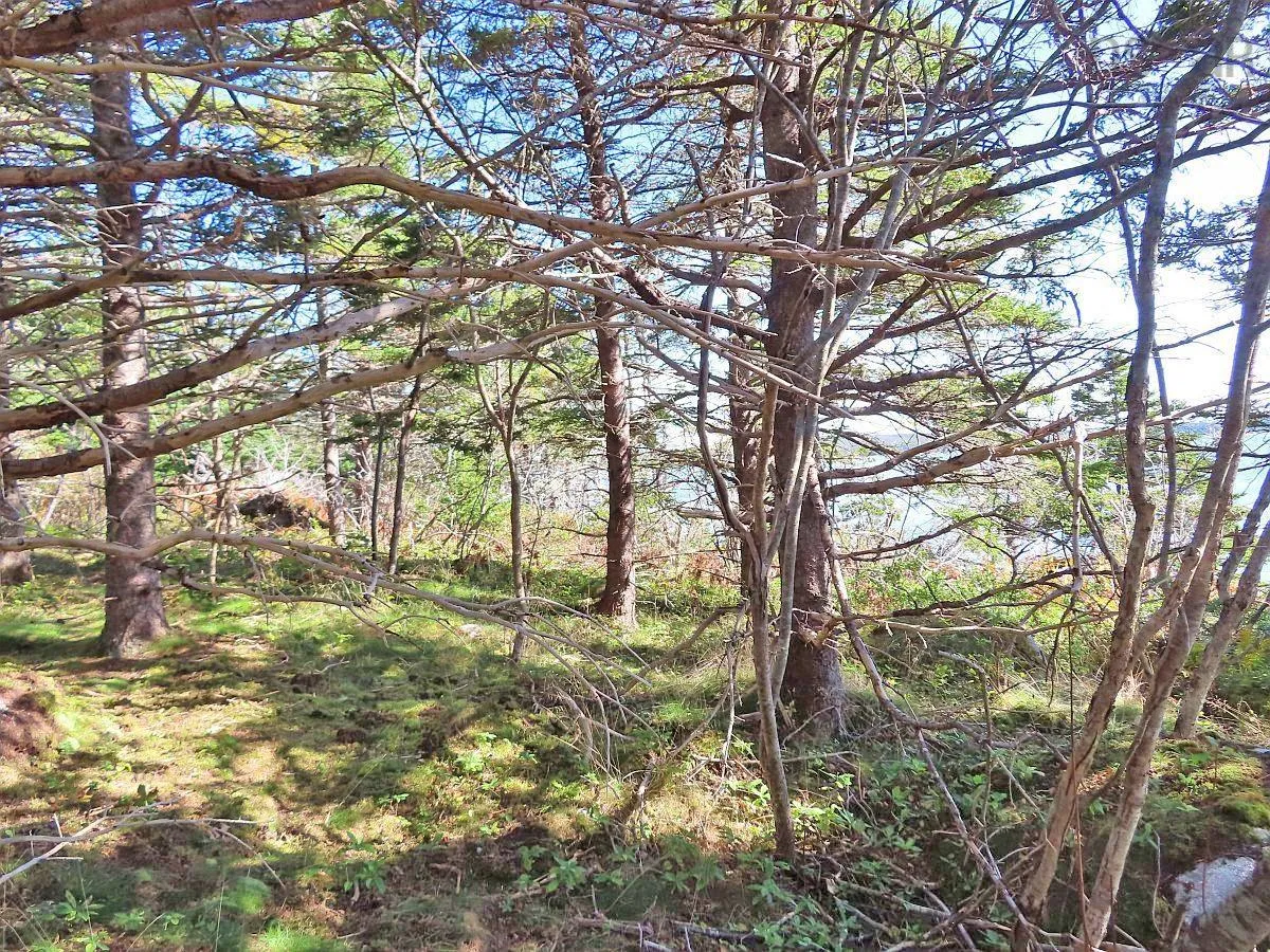 Lot 6 316 Hwy (grovers Point), Cole Harbour Ns B0h 1t0, ,Land,For Sale,316 Hwy (Grovers Point),202500356