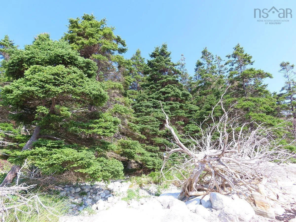 Lot 6 316 Hwy (grovers Point), Cole Harbour Ns B0h 1t0, ,Land,For Sale,316 Hwy (Grovers Point),202500356