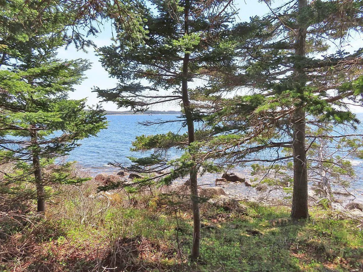 Lot 6 316 Hwy (grovers Point), Cole Harbour Ns B0h 1t0, ,Land,For Sale,316 Hwy (Grovers Point),202500356