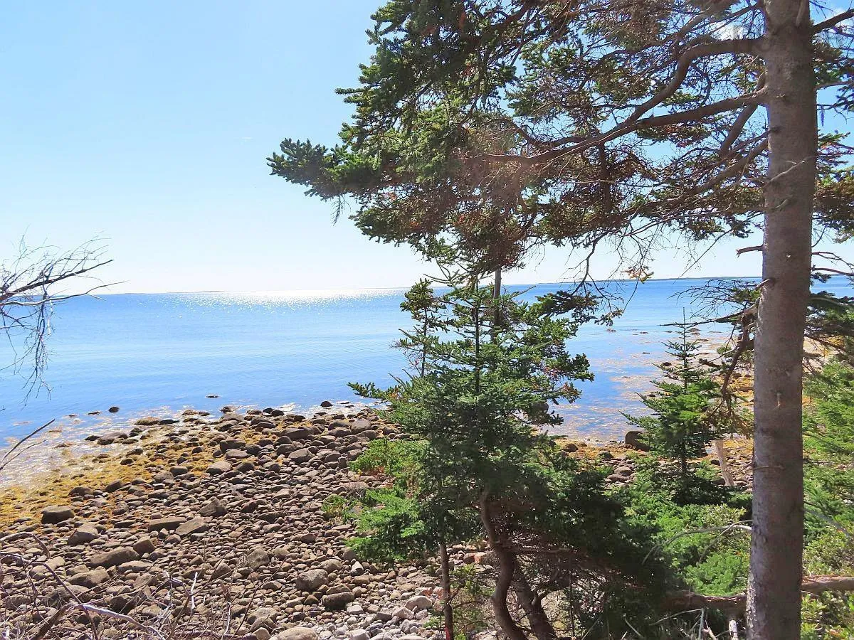Lot 6 316 Hwy (grovers Point), Cole Harbour Ns B0h 1t0, ,Land,For Sale,316 Hwy (Grovers Point),202500356