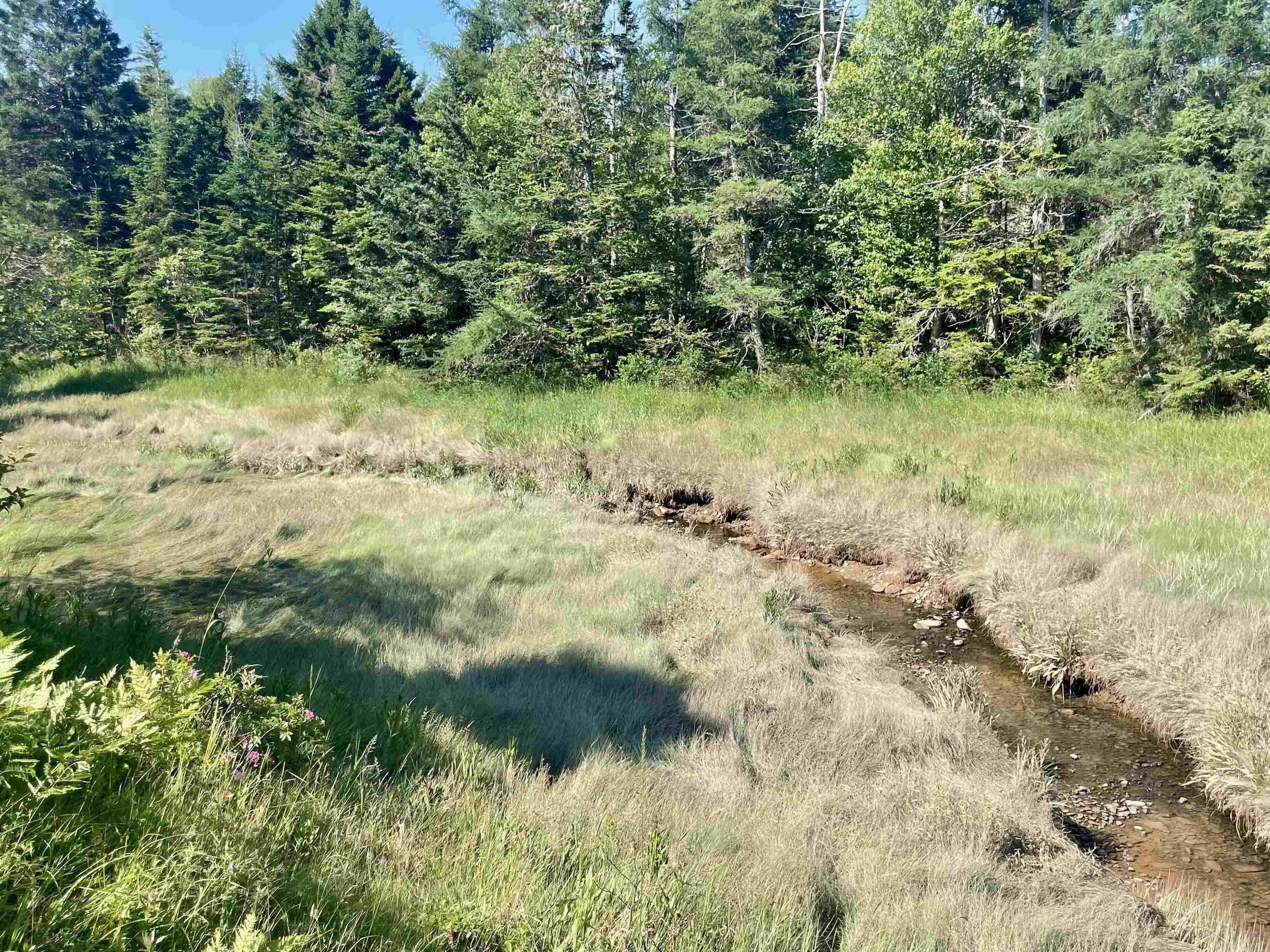 2432 Apple River Road, Apple River, NS B0M 1S0, 1 Bedroom Bedrooms, ,1 BathroomBathrooms,Residential,For Sale,Apple River,202520053