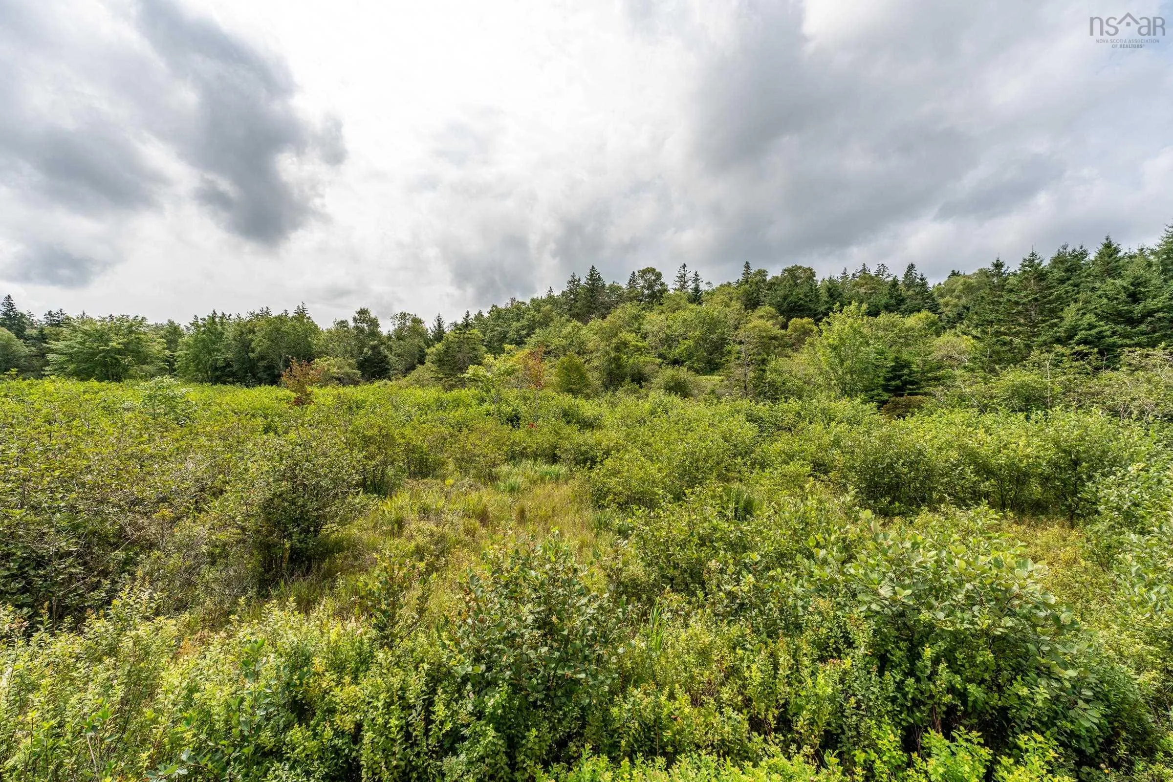 Lot Greenville Road, Greenville Ns B5a 5j6, ,Land,For Sale,Greenville,202420248