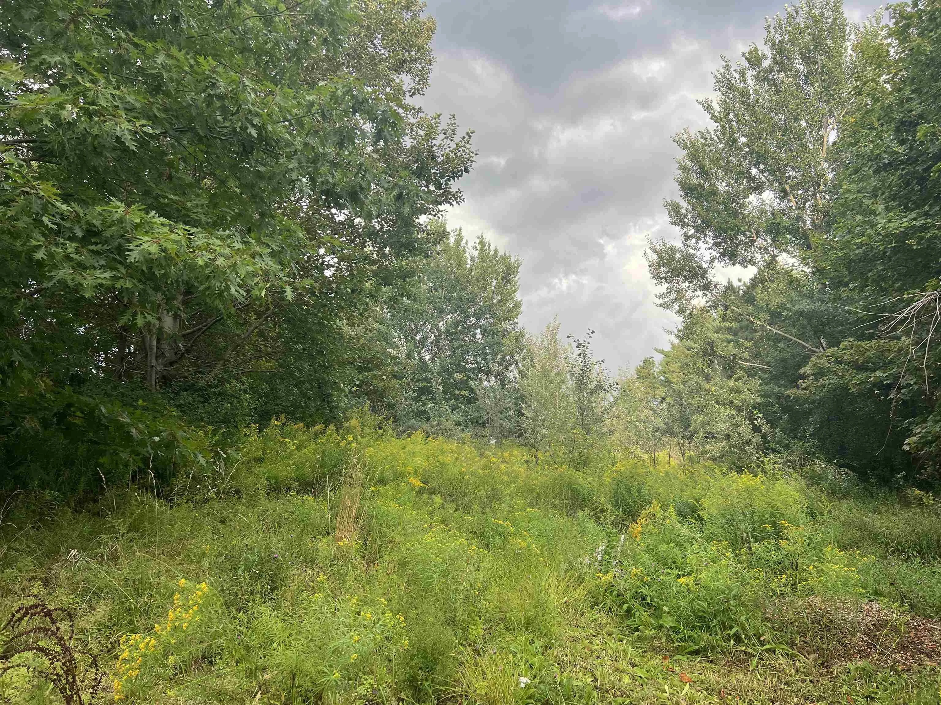 Vimy Road, Bible Hill, NS B2N 4J9, ,Land,For Sale,Vimy,202521663