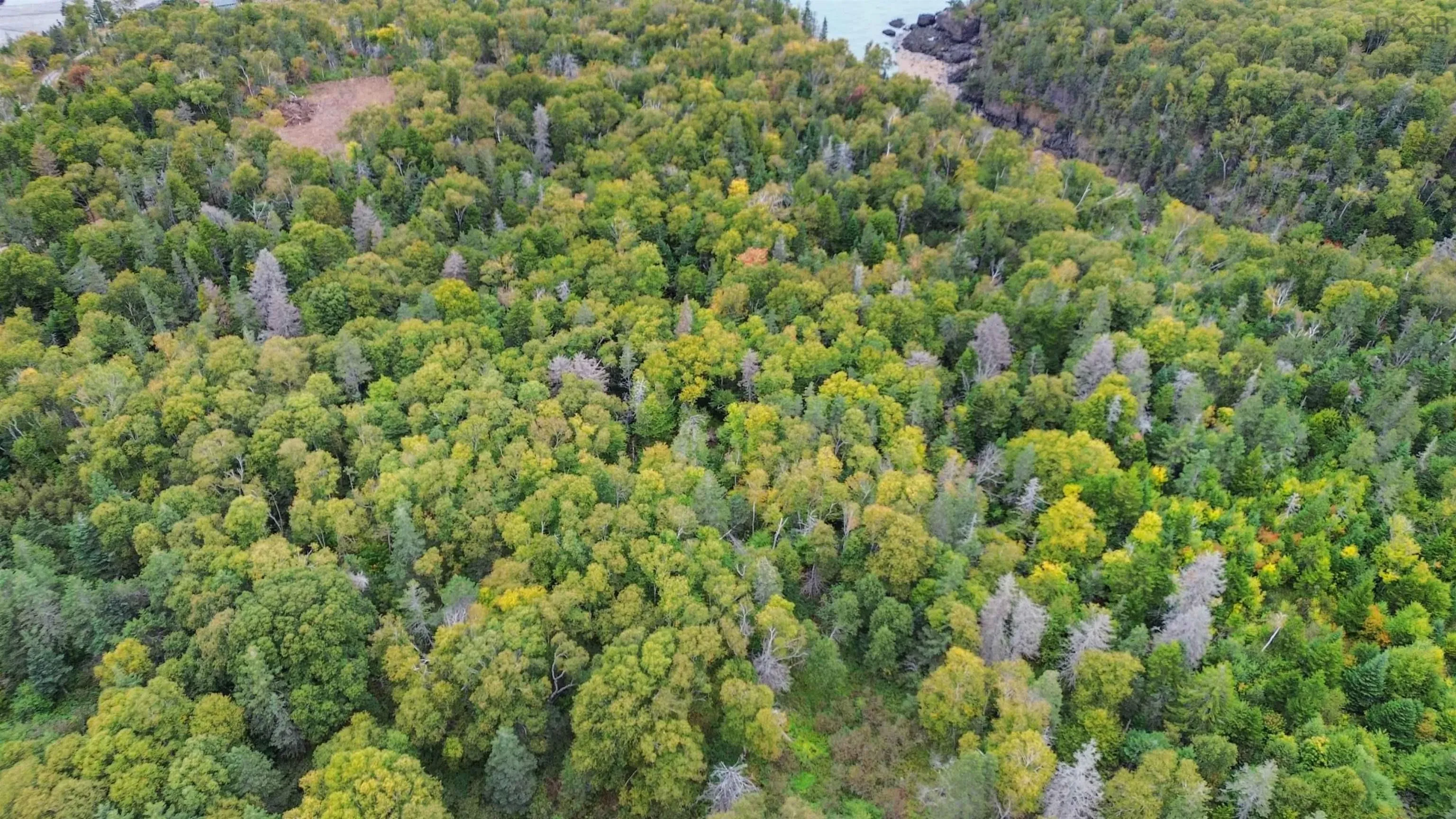 Old Baxter Mill Road, Baxters Harbour Ns B0p 1h0, ,Land,For Sale,Old Baxter Mill,202424134
